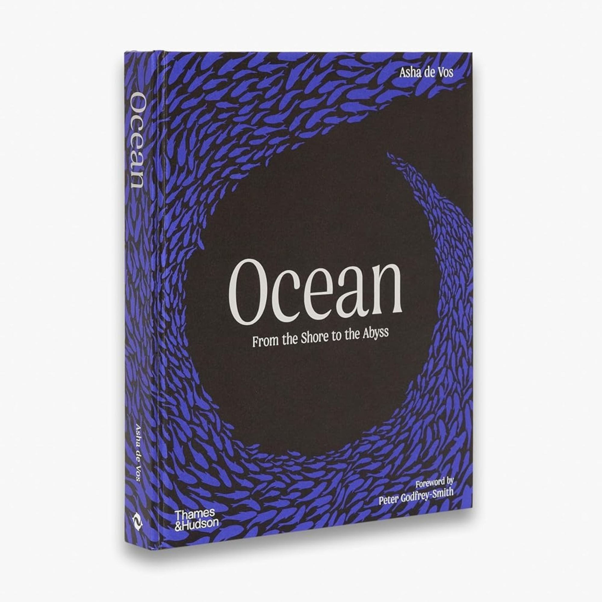Ocean: From the Shore to the Abyss