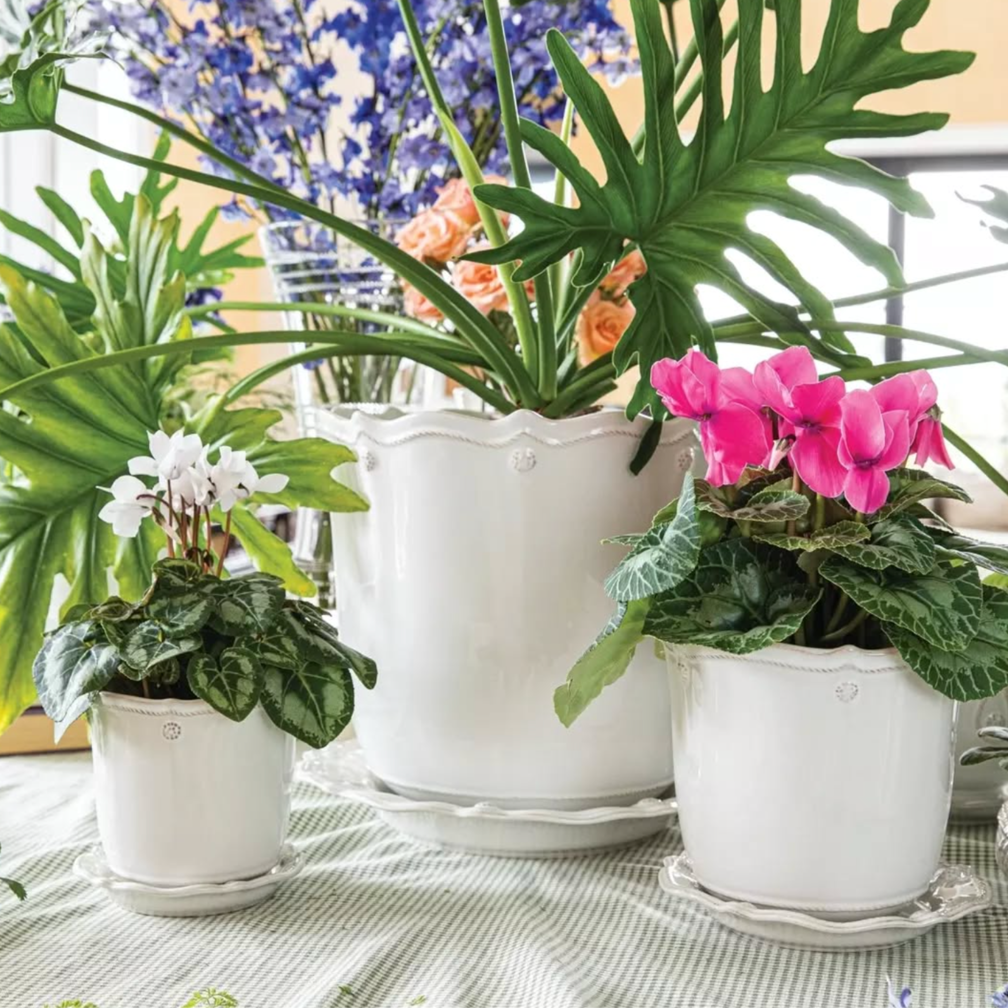 Berry & Thread Whitewash Planter & Saucer