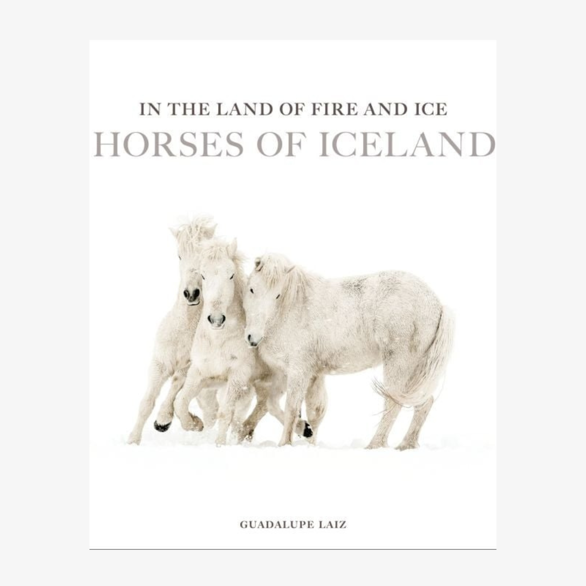 In The Land of Fire and Ice: Horses of Iceland