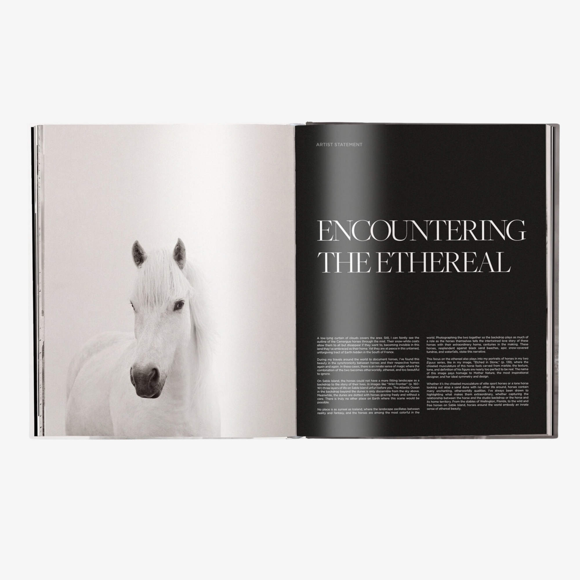 Untamed Spirits: Horses from Around the World