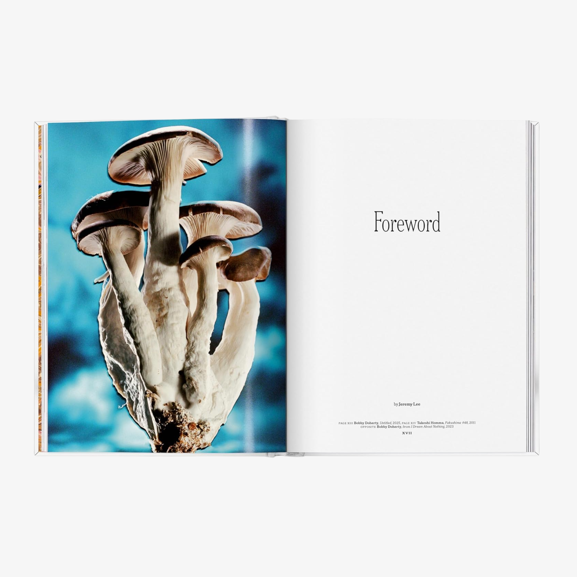 The Gourmand's Mushroom: A Collection of Stories and Recipes