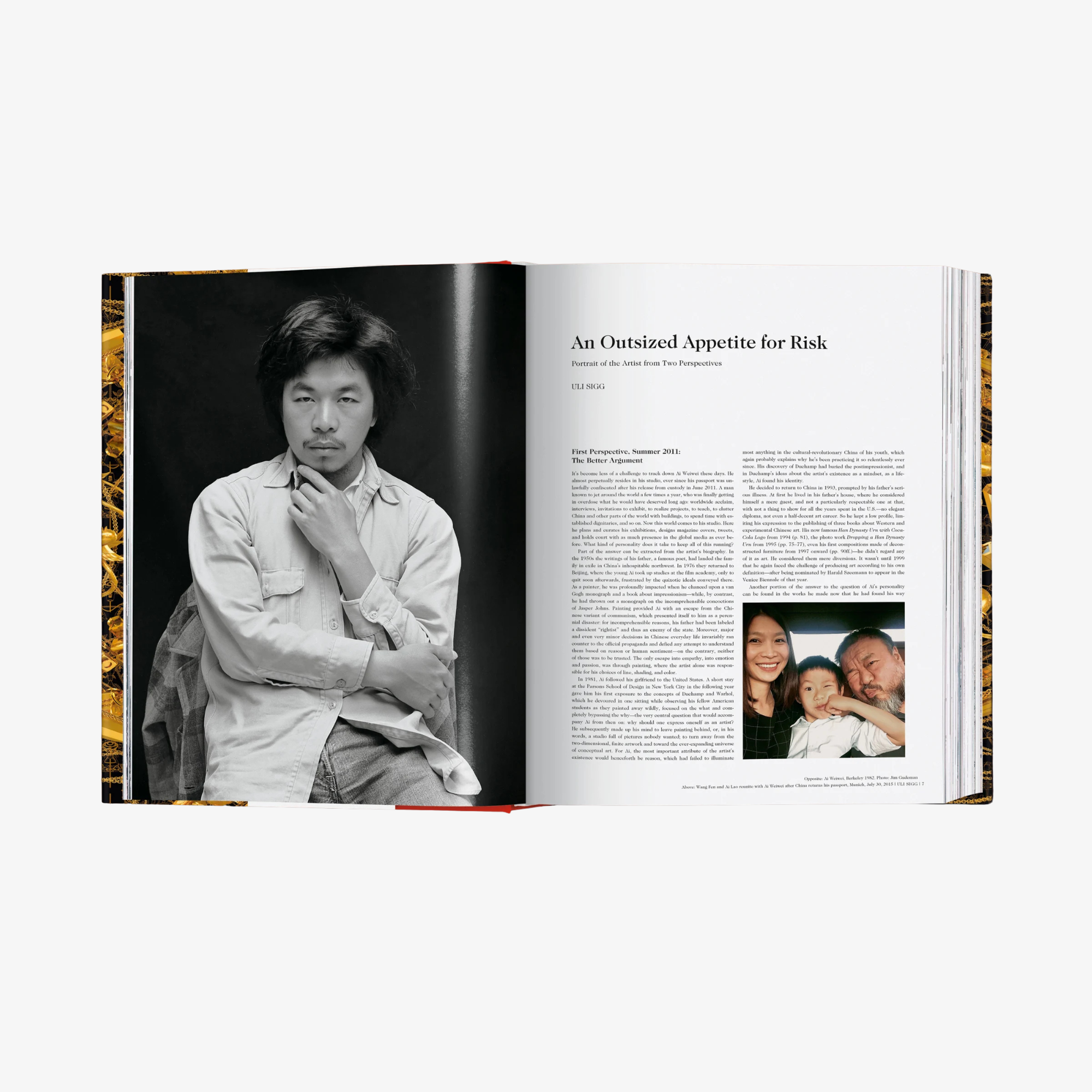 Ai Weiwei. Updated Edition