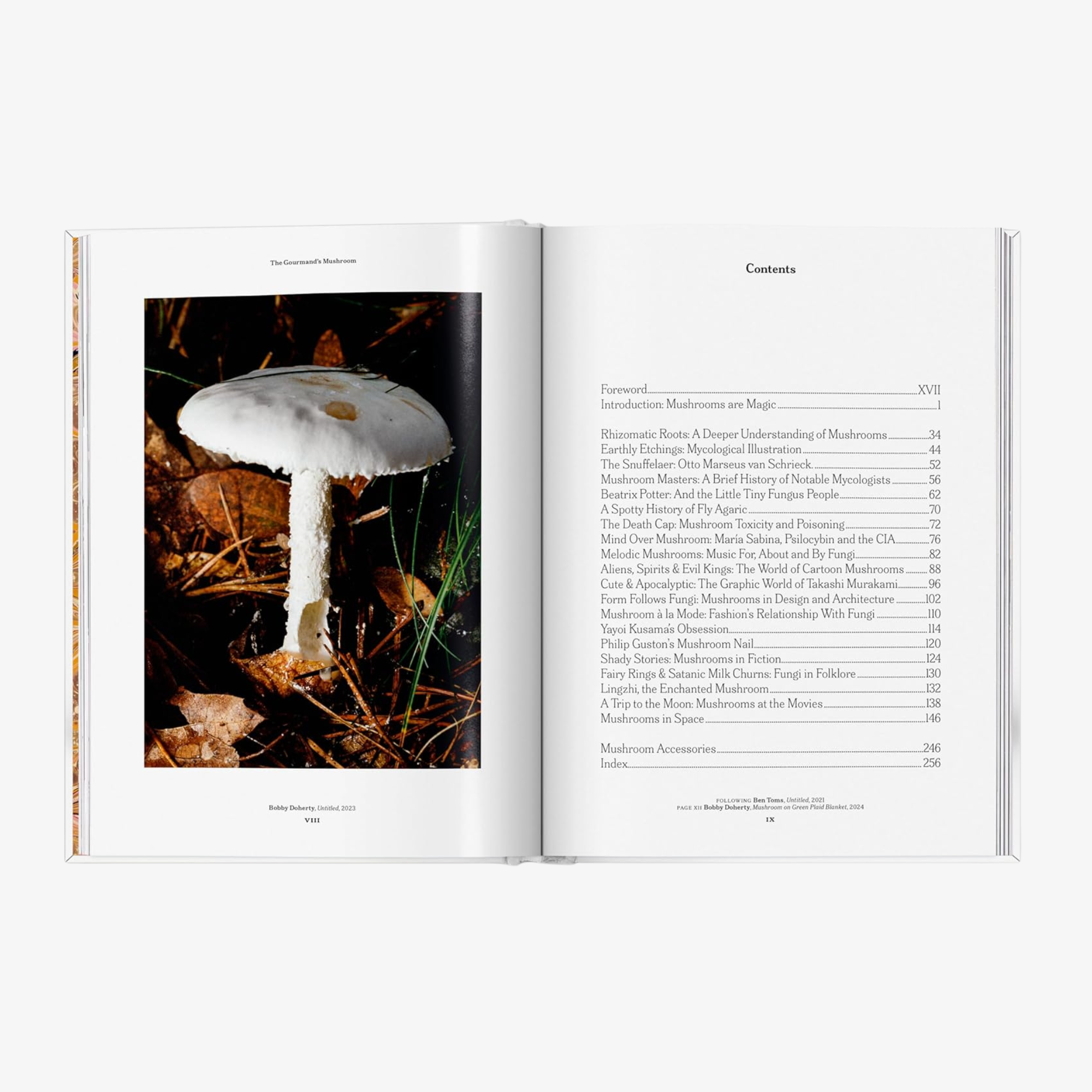The Gourmand's Mushroom: A Collection of Stories and Recipes