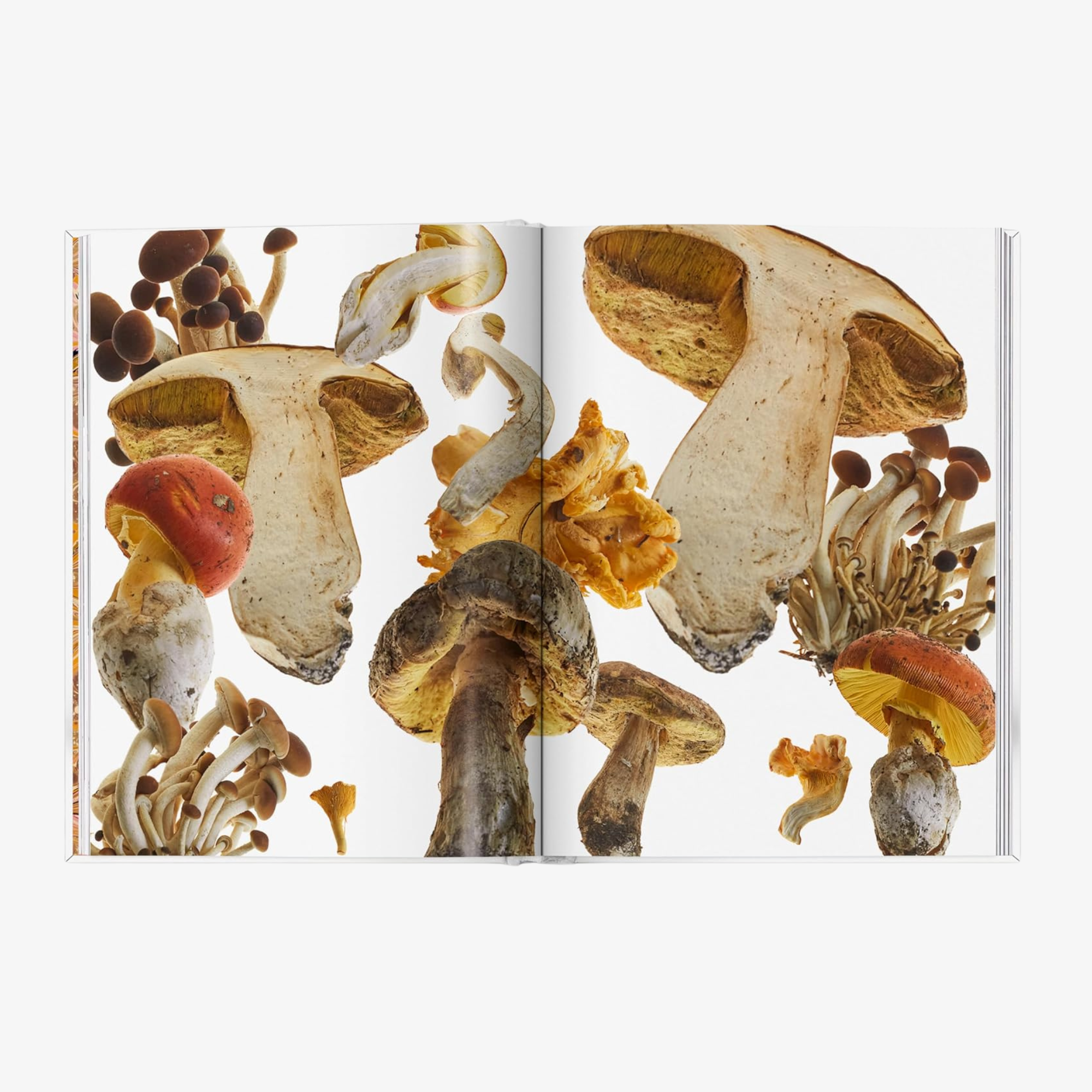 The Gourmand's Mushroom: A Collection of Stories and Recipes