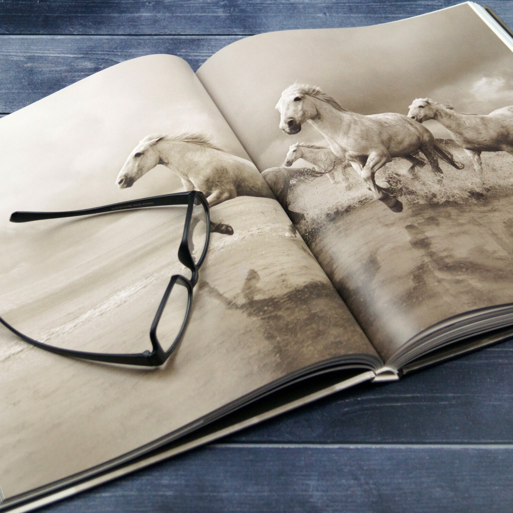 Untamed Spirits: Horses from Around the World