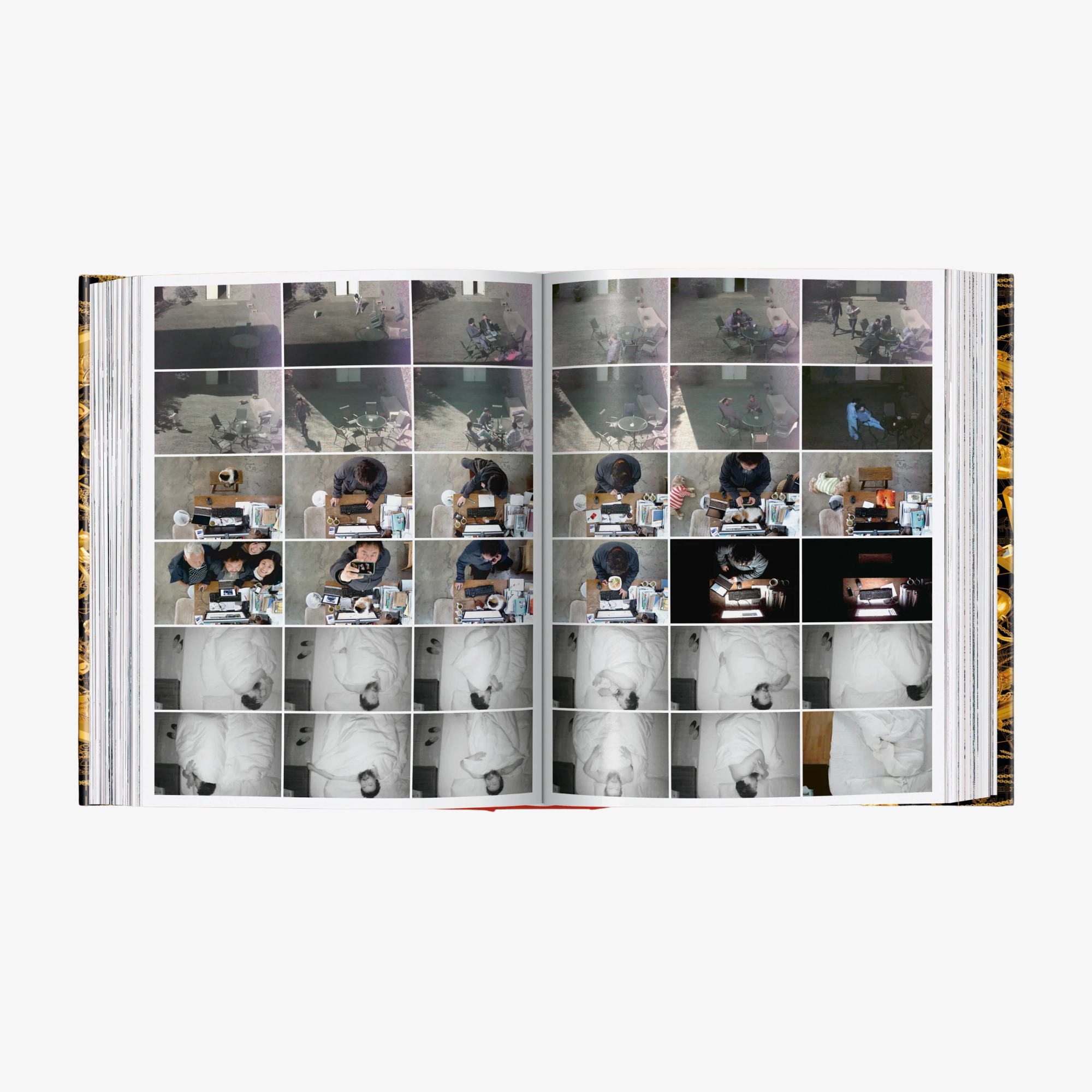 Ai Weiwei. Updated Edition