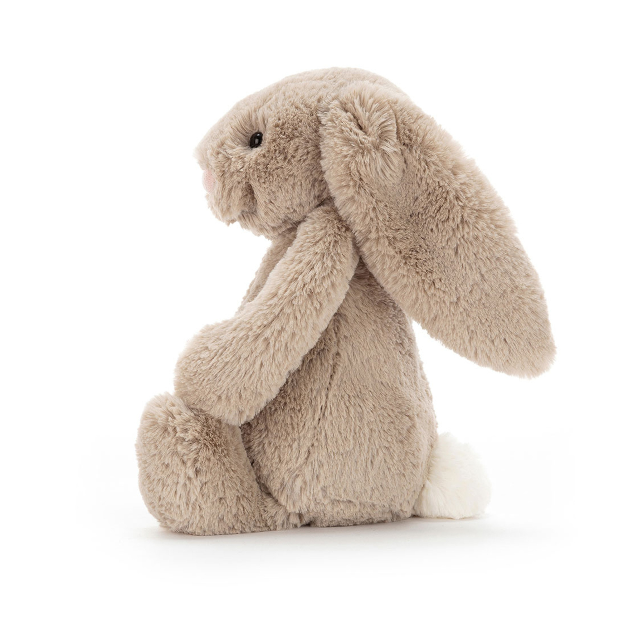 Bashful Beige Bunny & The Magic Bunny Book