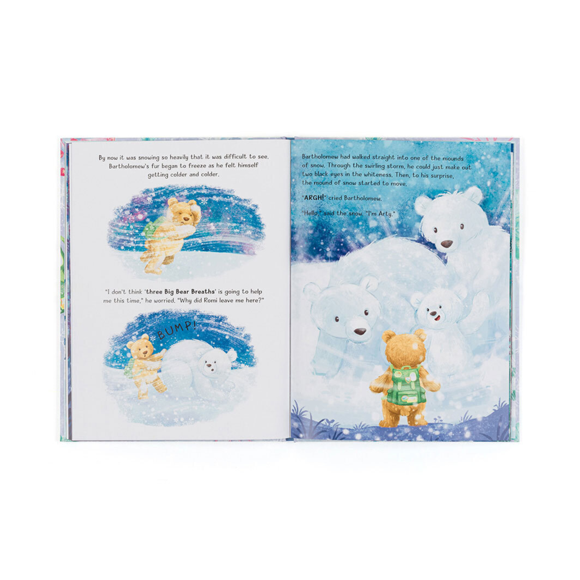 Bartholomew Bear and The Snow Giants Book