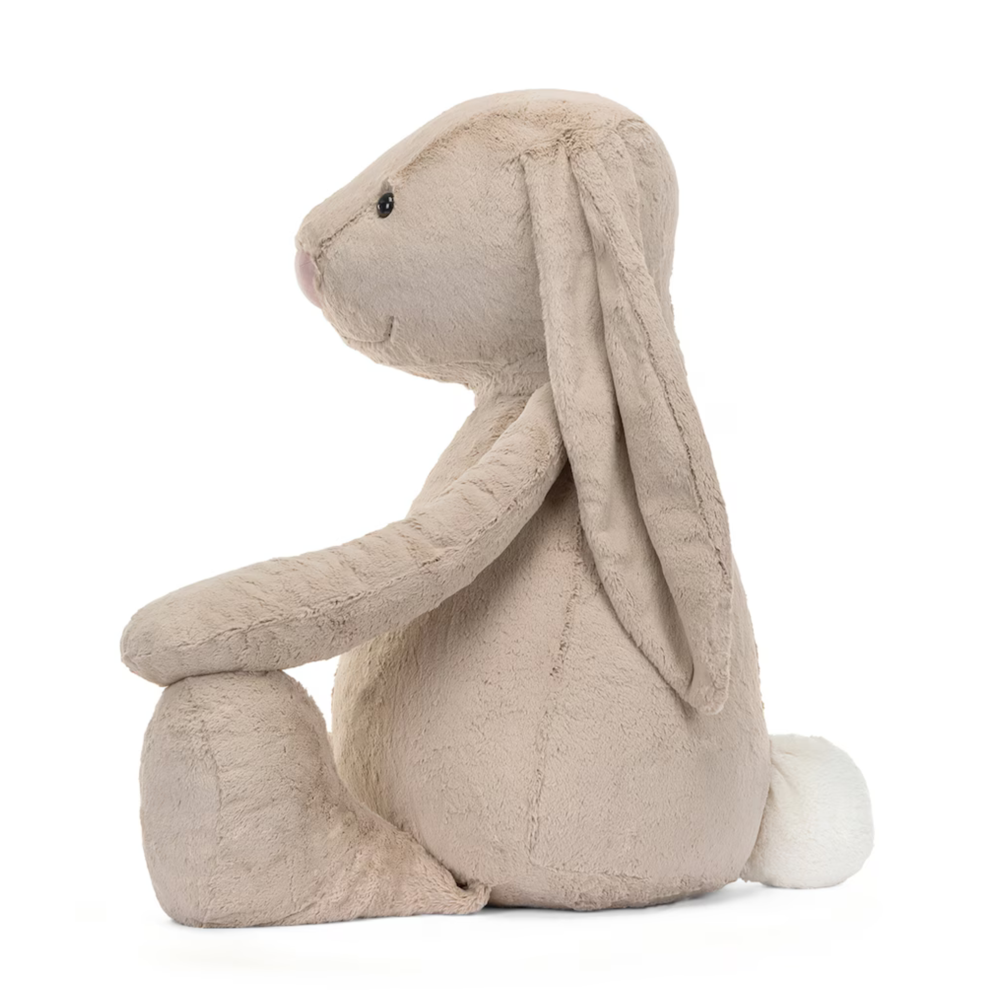 Bashful Beige Bunny - Gigantic