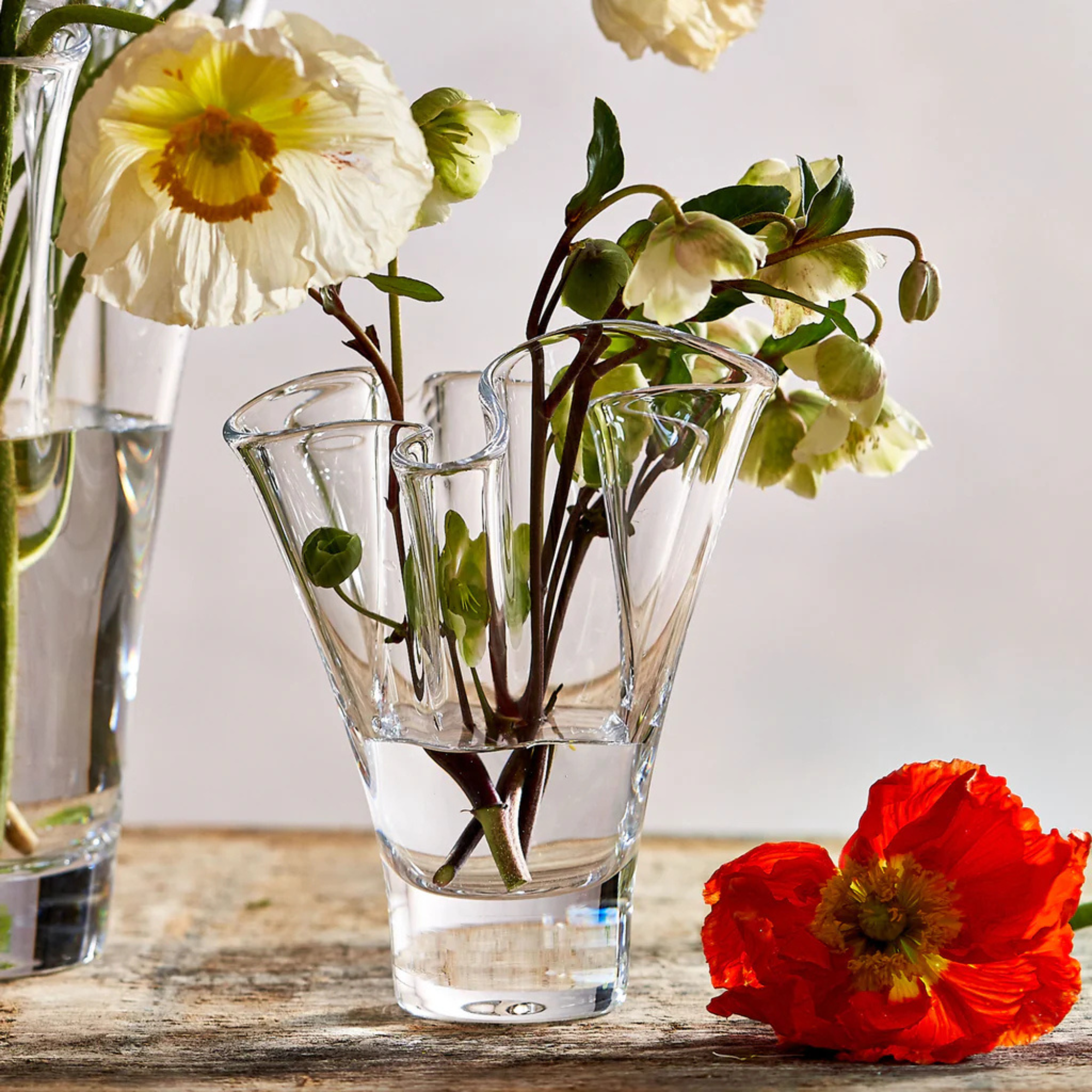 Anemone Vase - Small