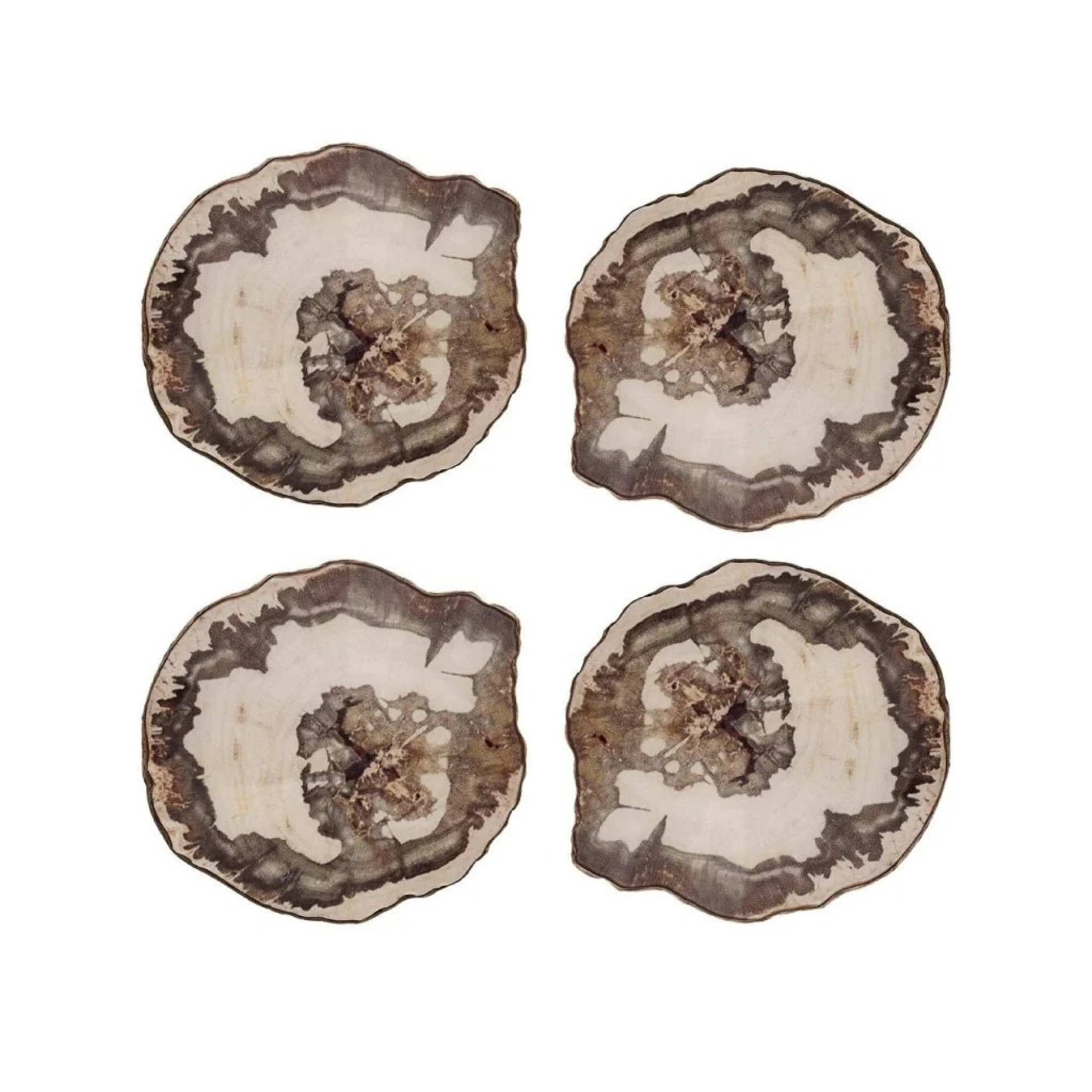 Petrified Wood Drink Coasters in Natural & Brown - Set of 4