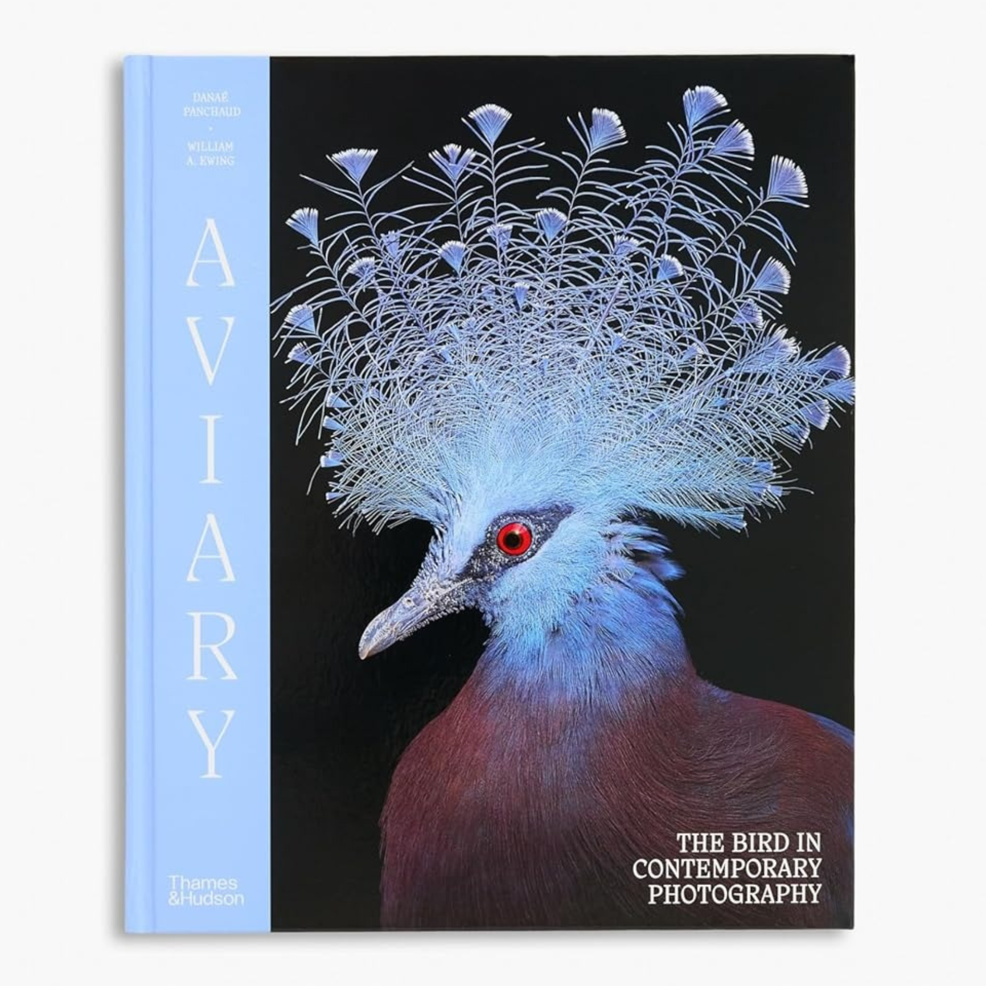 Aviary: The Bird in Contemporary Photography