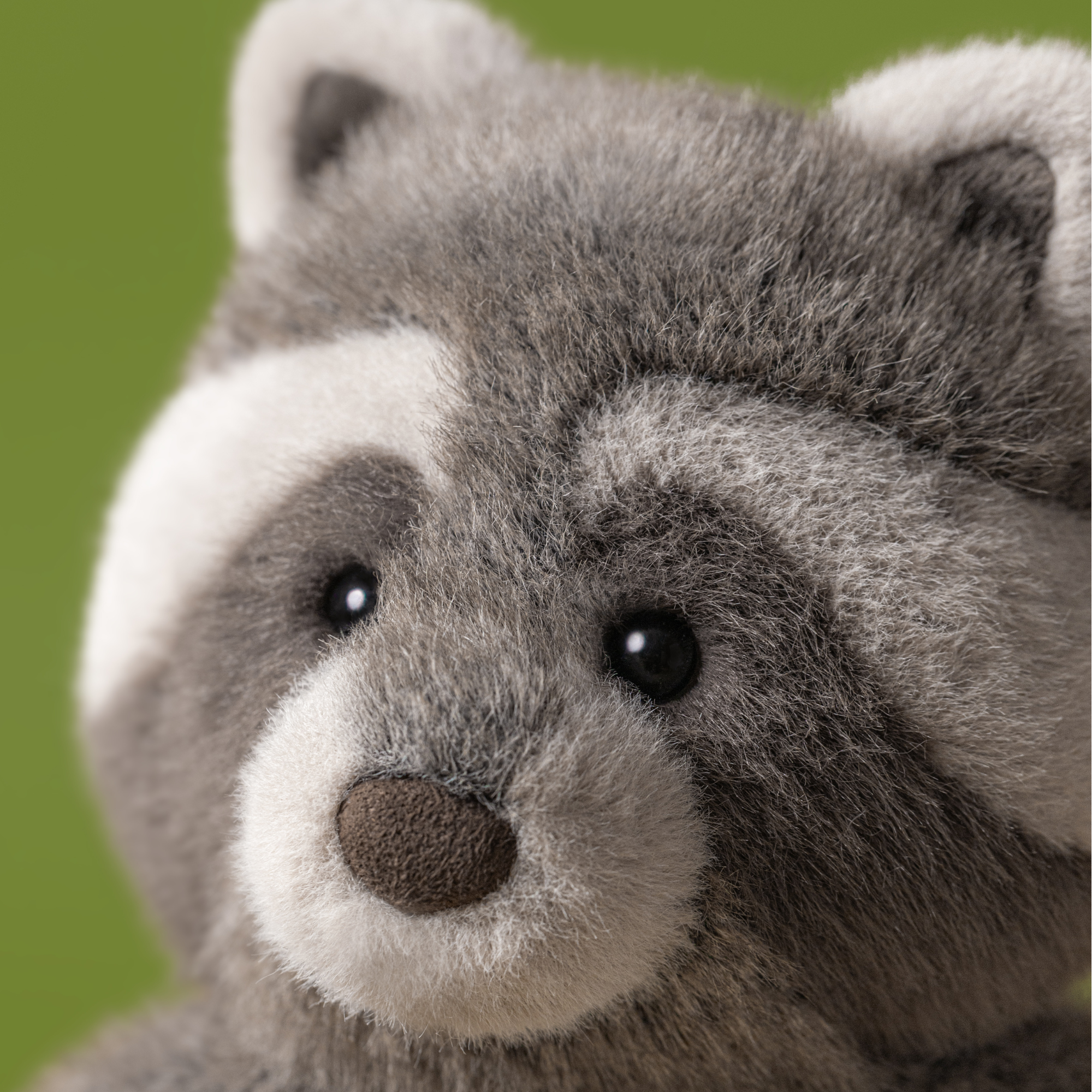 Trixiwoo Raccoon