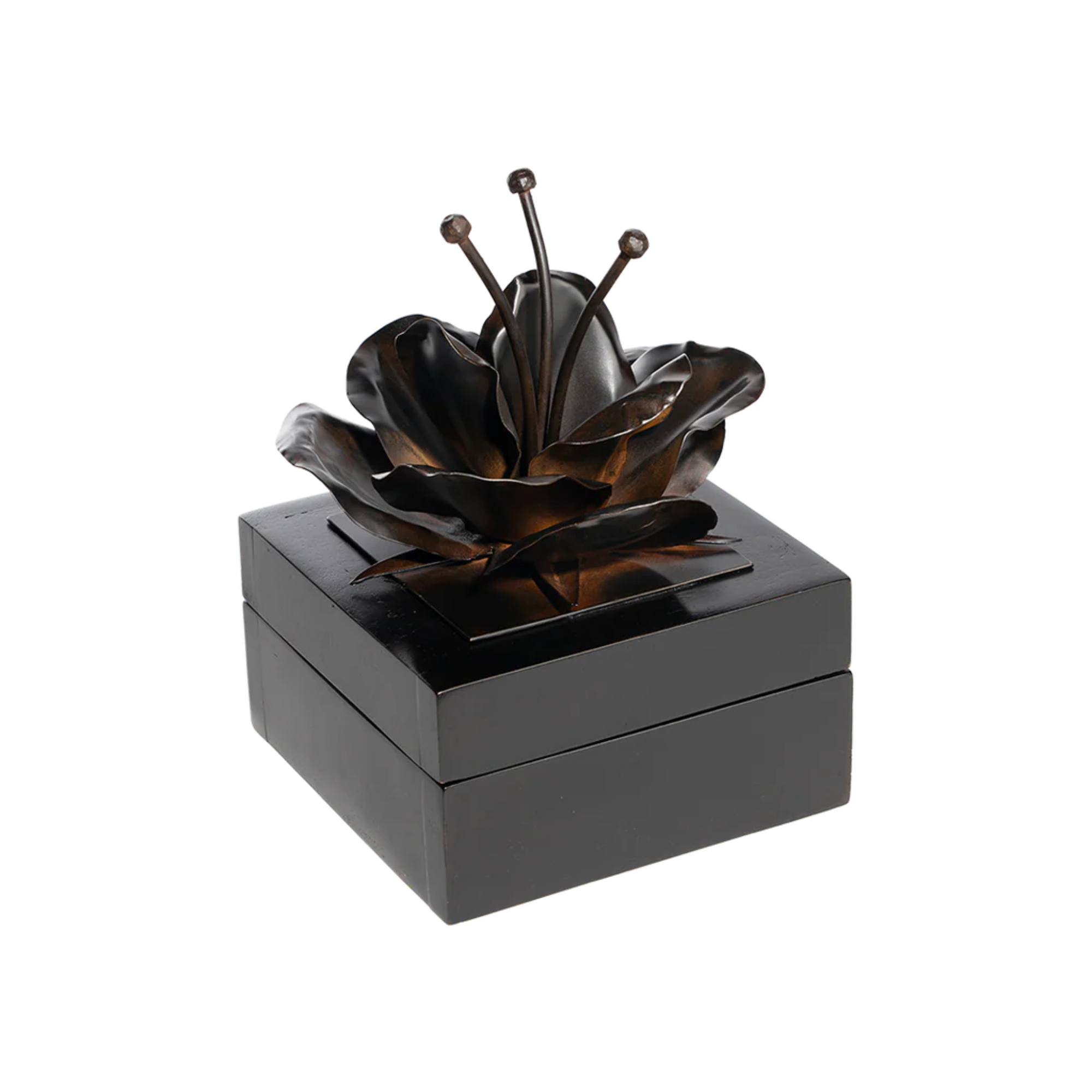 Valentina Box