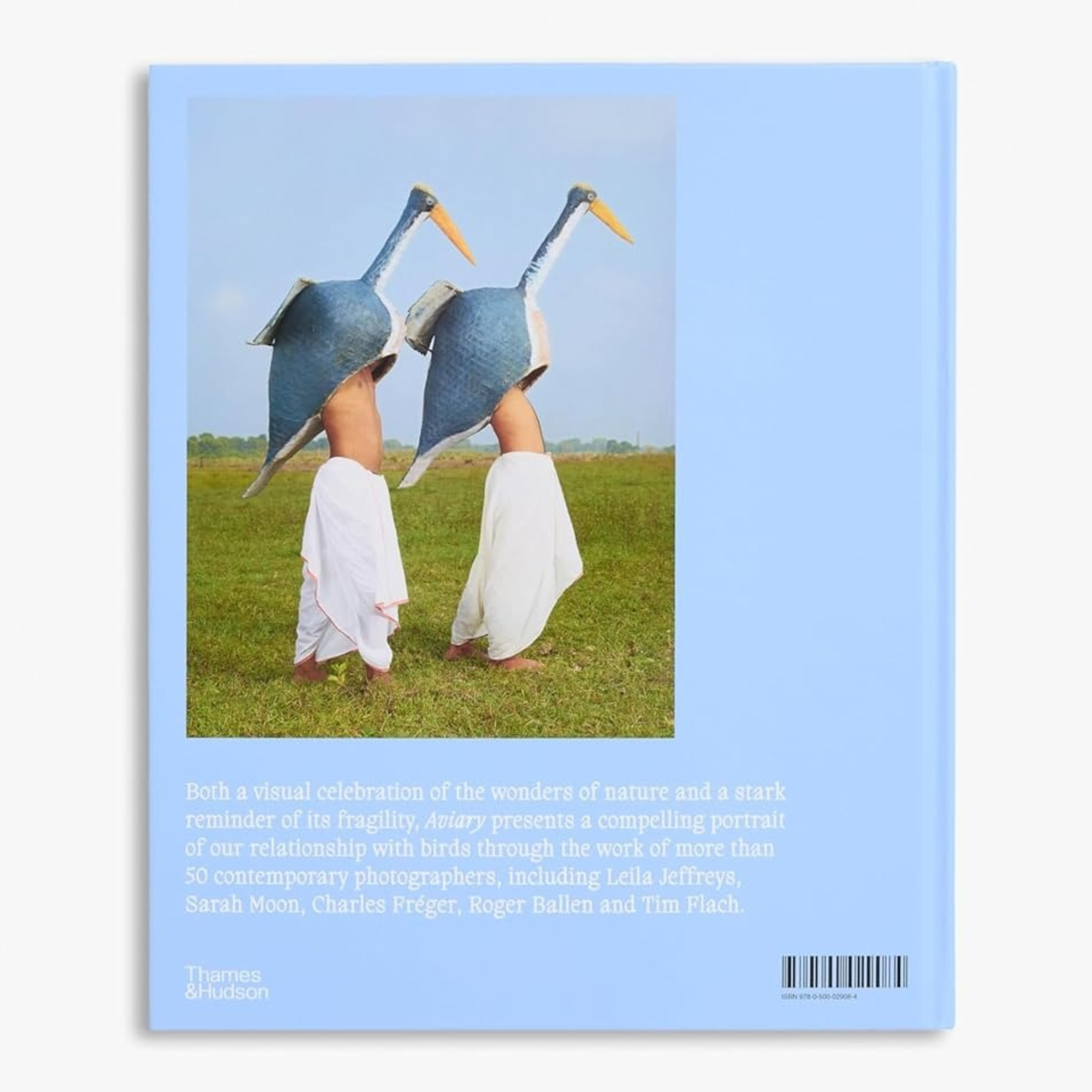 Aviary: The Bird in Contemporary Photography