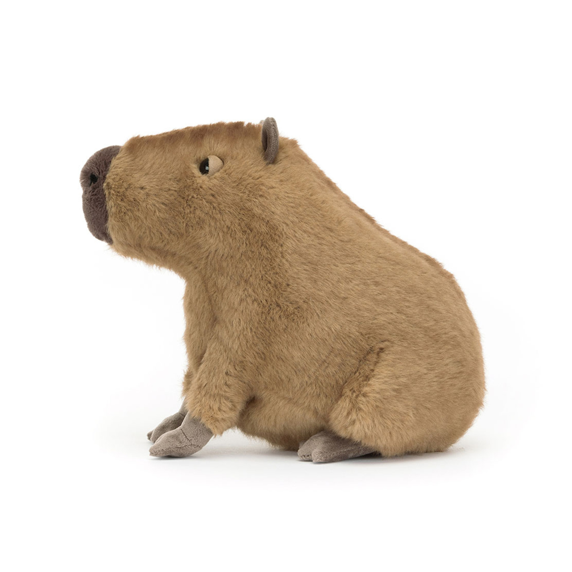 Clyde Capybara