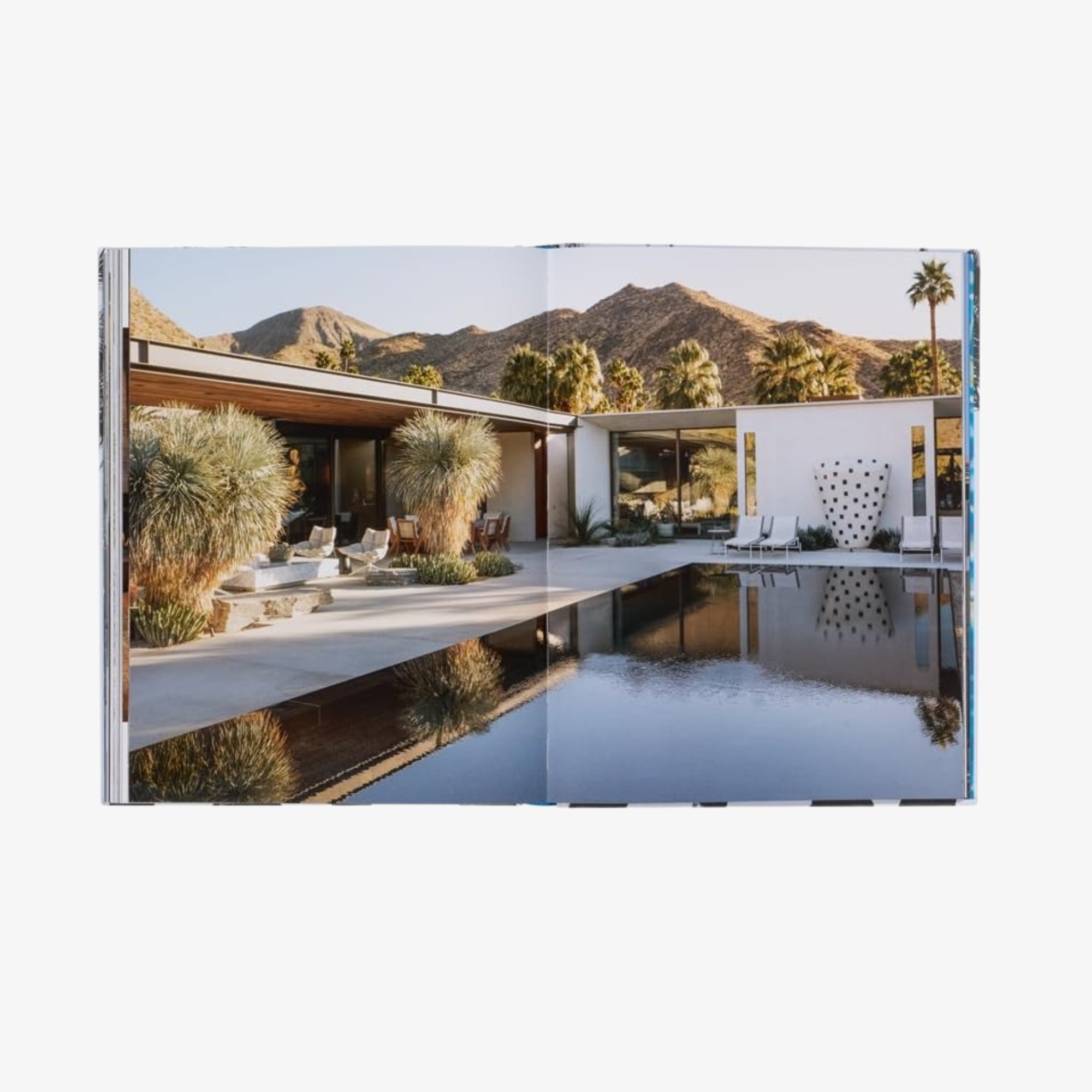 Inside Palm Springs: A Exclusive Glimpse Into 22 Homes