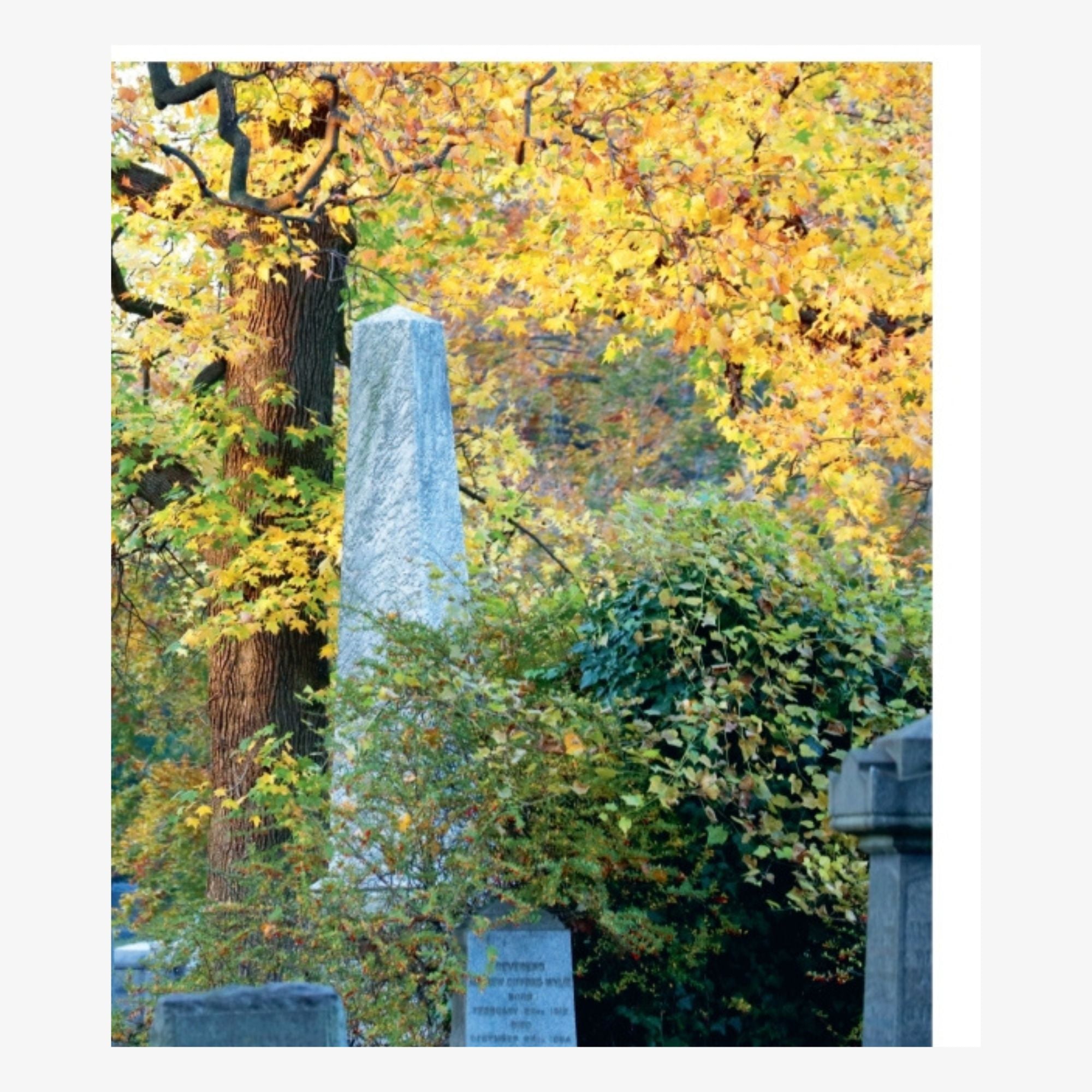 Brooklyn Arcadia: Art, History, and Nature at Majestic Green-Wood