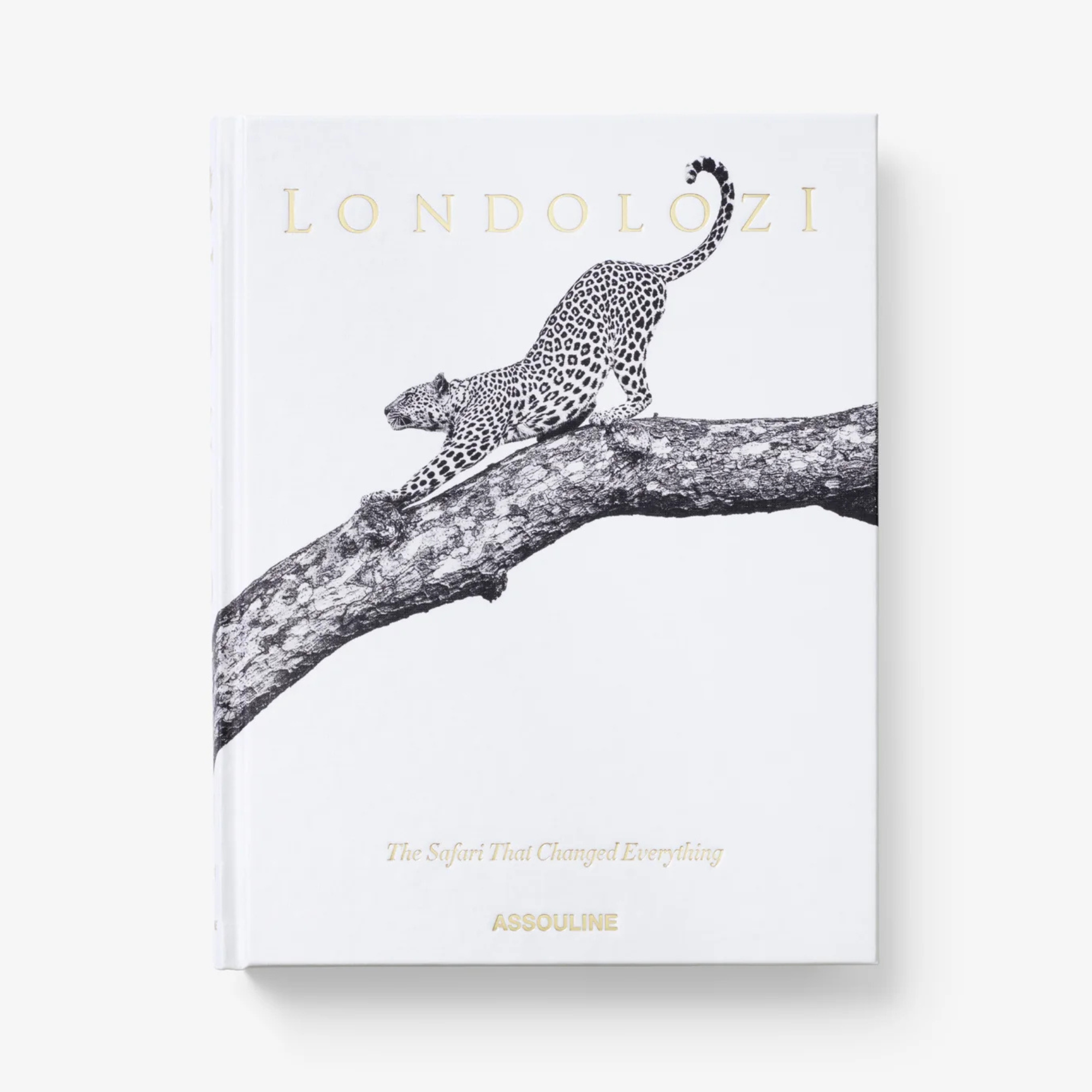 Londolozi: The Safari That Changed Everything