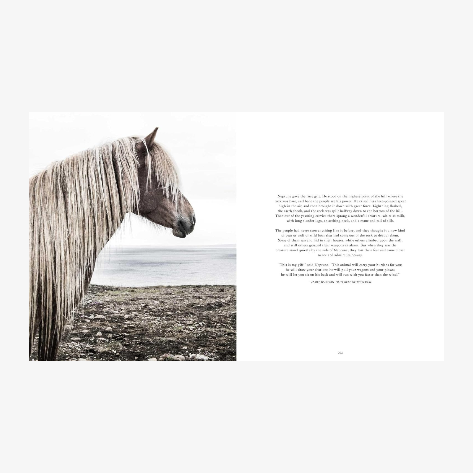 Horse Country, with a Foreword by India Hicks