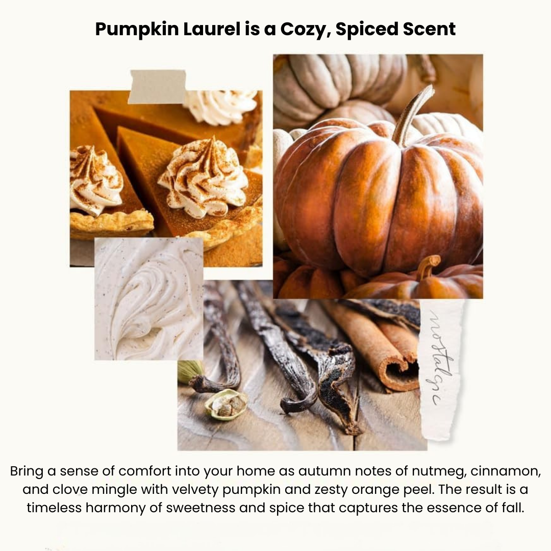 Pumpkin Laurel 15oz Large Candle with Lid