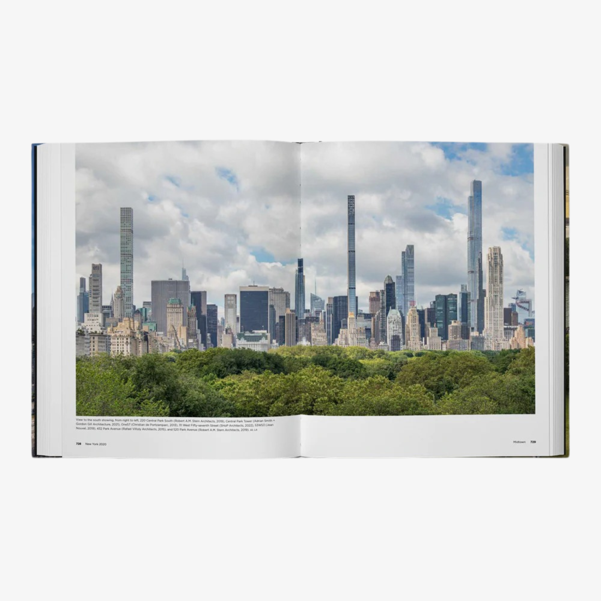 New York 2020: Architecture and Urbanism at the Beginning of a New Century