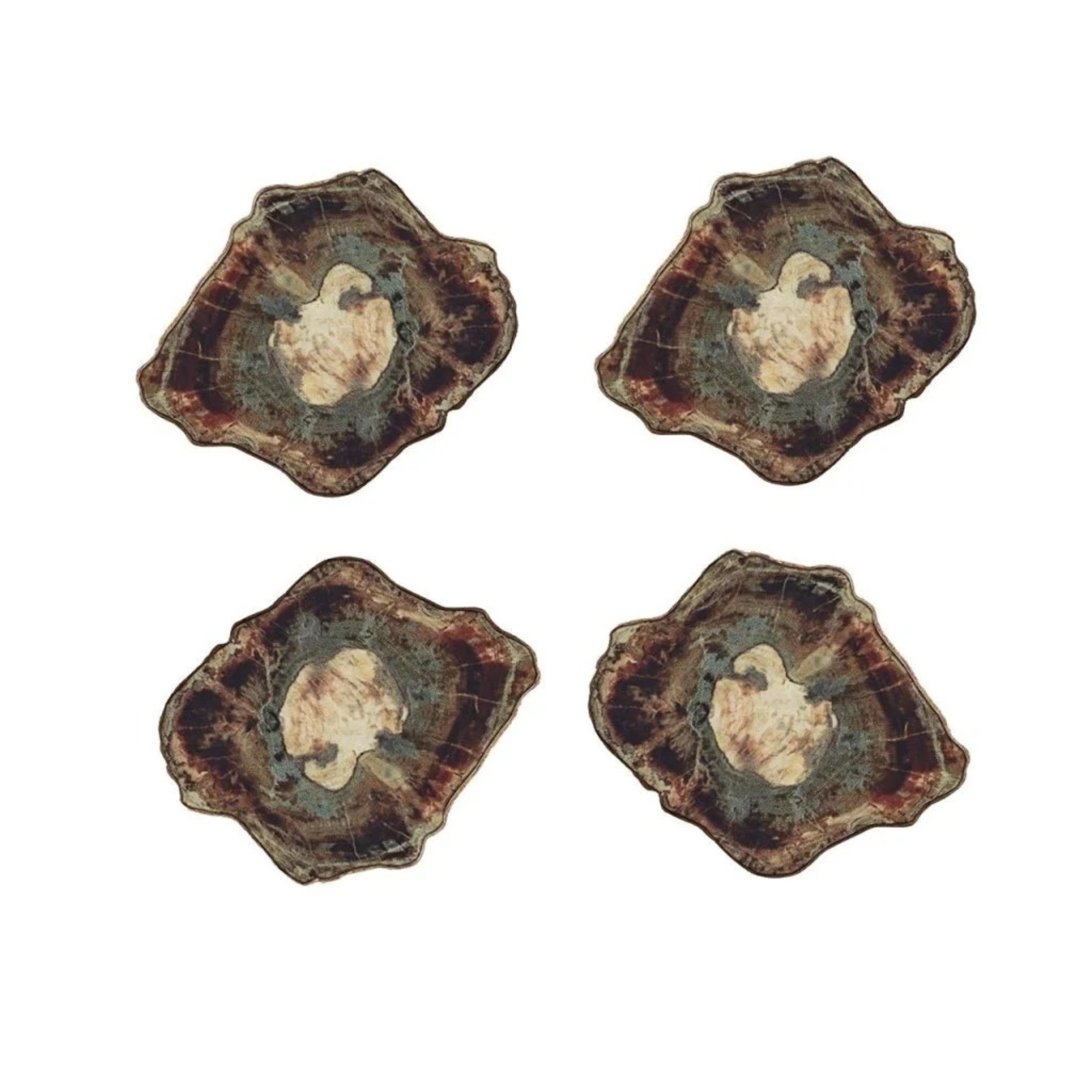 Fossil Drink Coasters - Set of 4