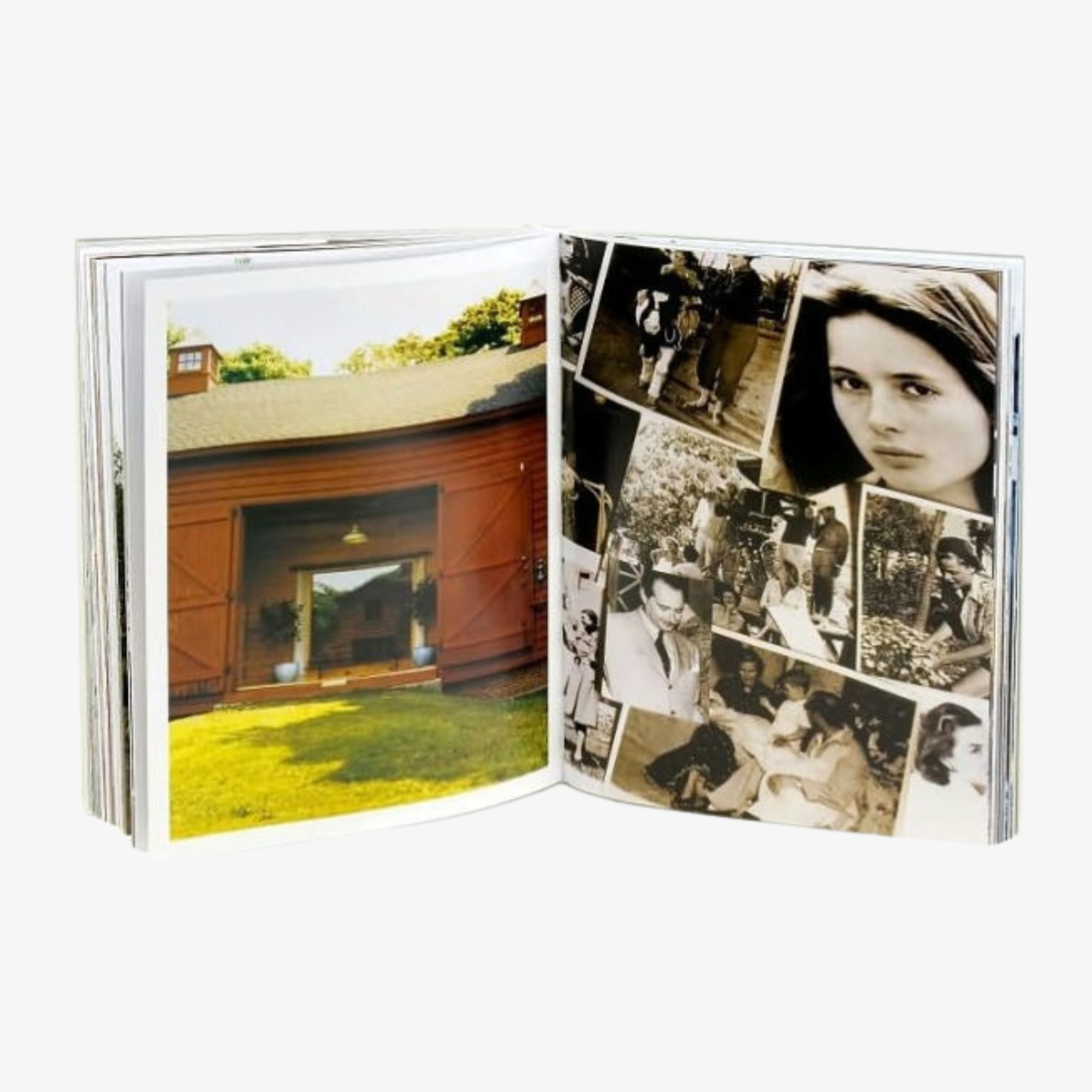 Vogue Living: Houses, Gardens, People, with a Foreword by Calvin Klein