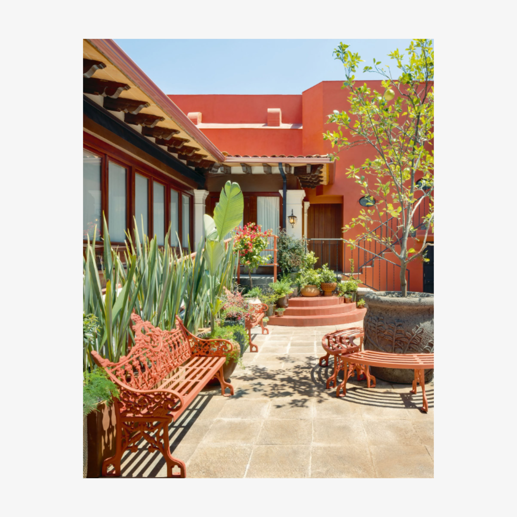 Casa Kahlo: Frida Kahlo's Home and Sanctuary