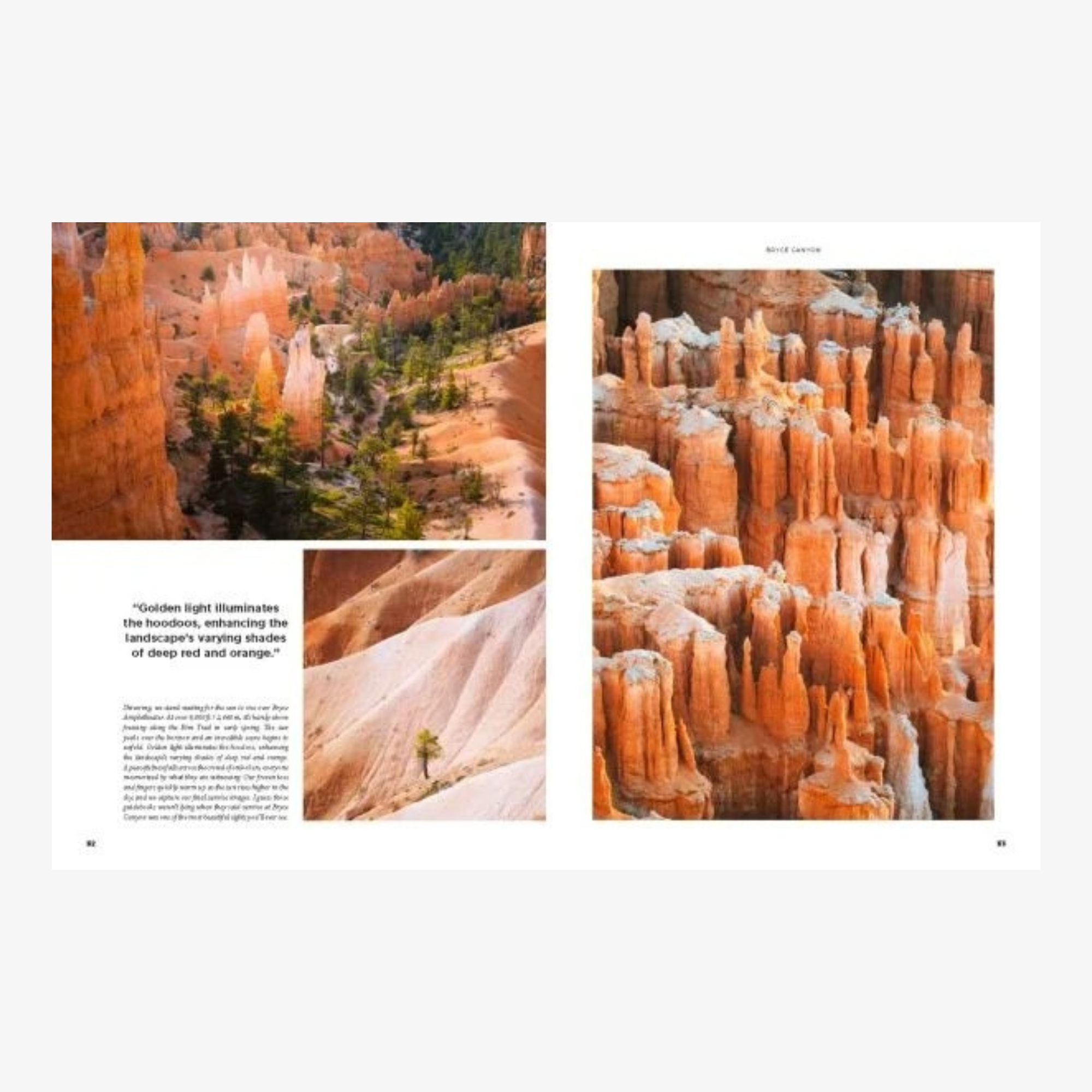 Roaming America: Exploring All the National Parks