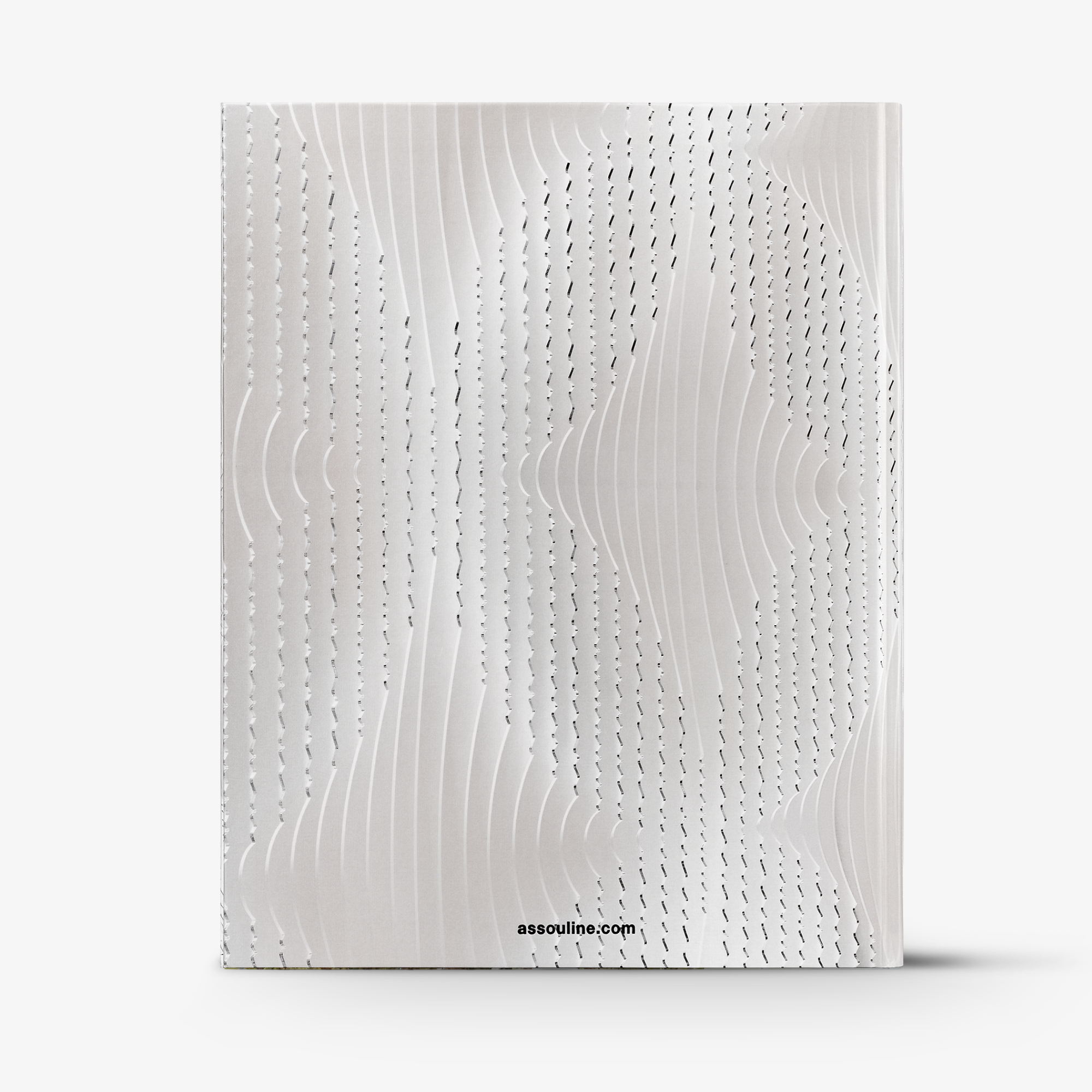 Louis Vuitton Skin: Architecture of Luxury (New York City Edition)