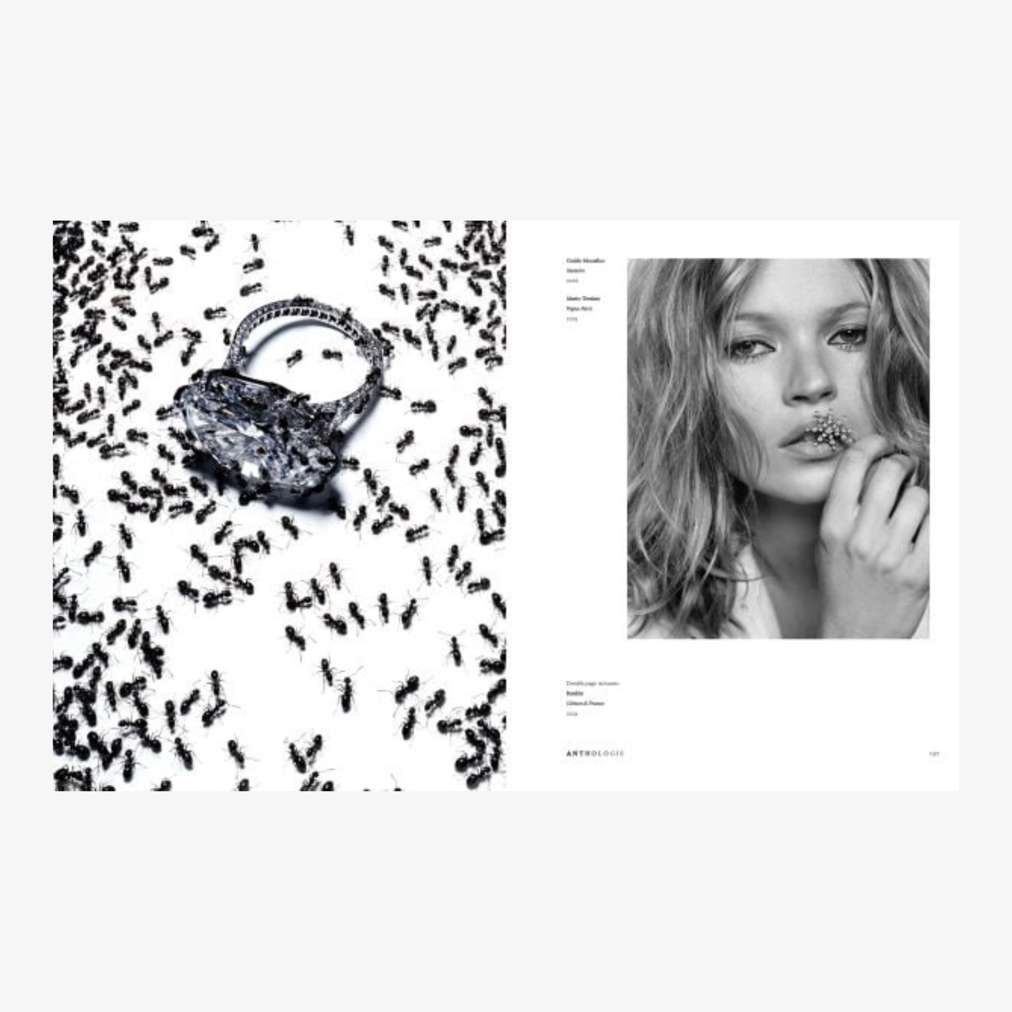 Chaumet: Photographers' Gaze