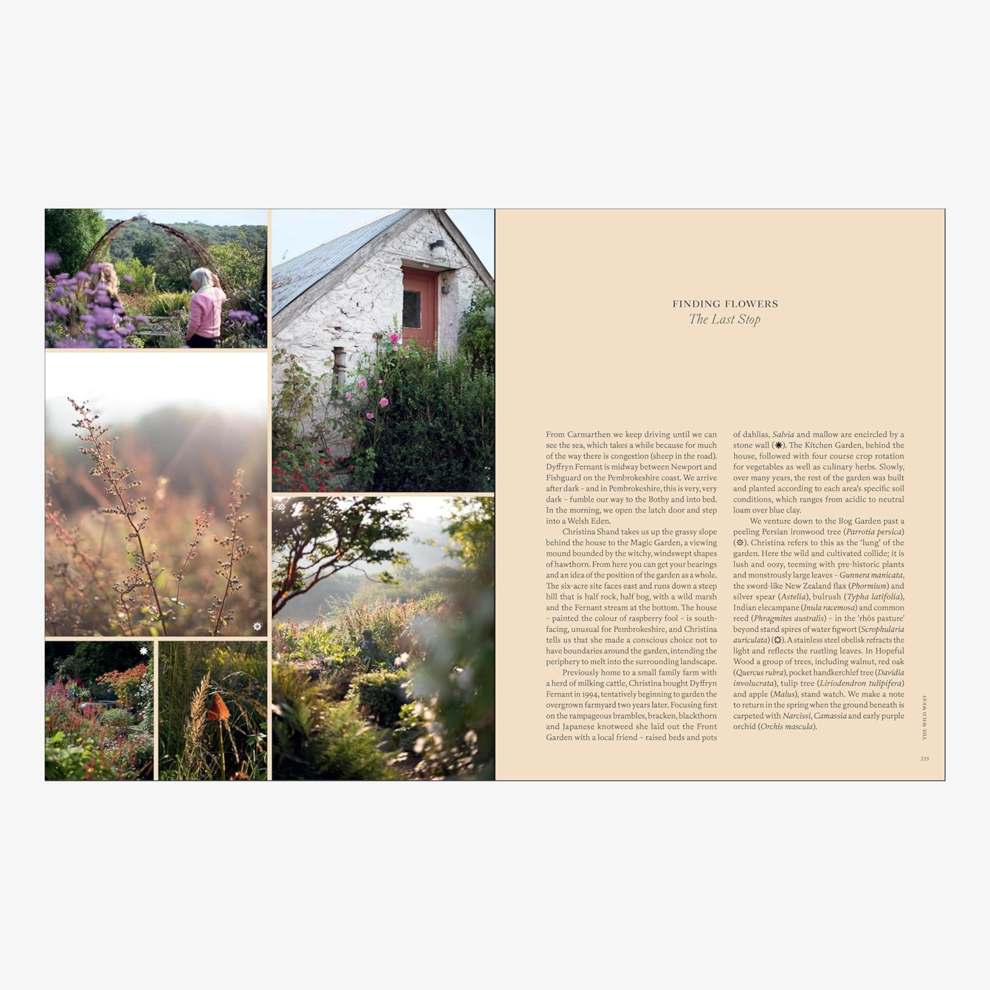 Naturalistic Flowers: A Year of Plants, Places, and People