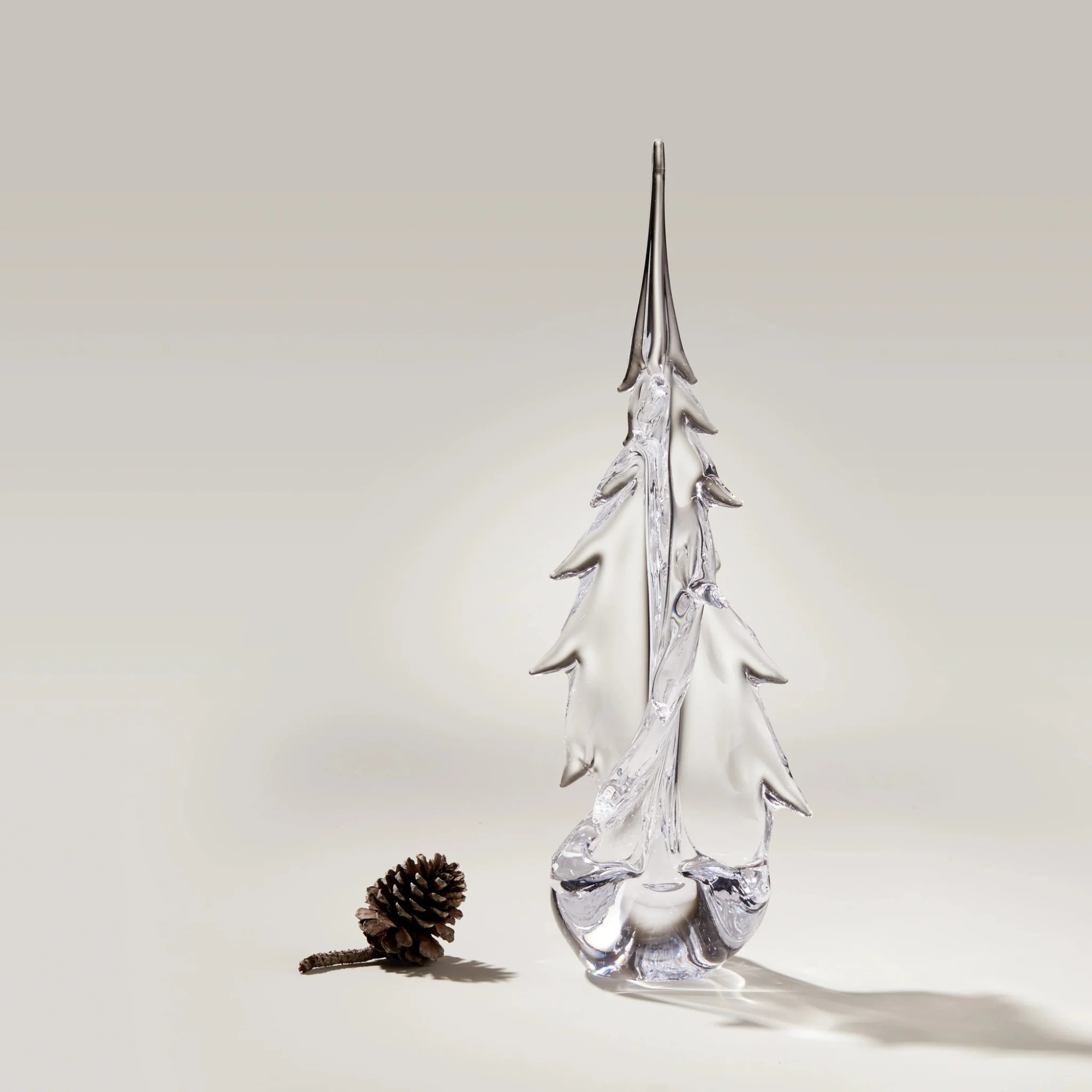 Vermont Twist Evergreen Tree