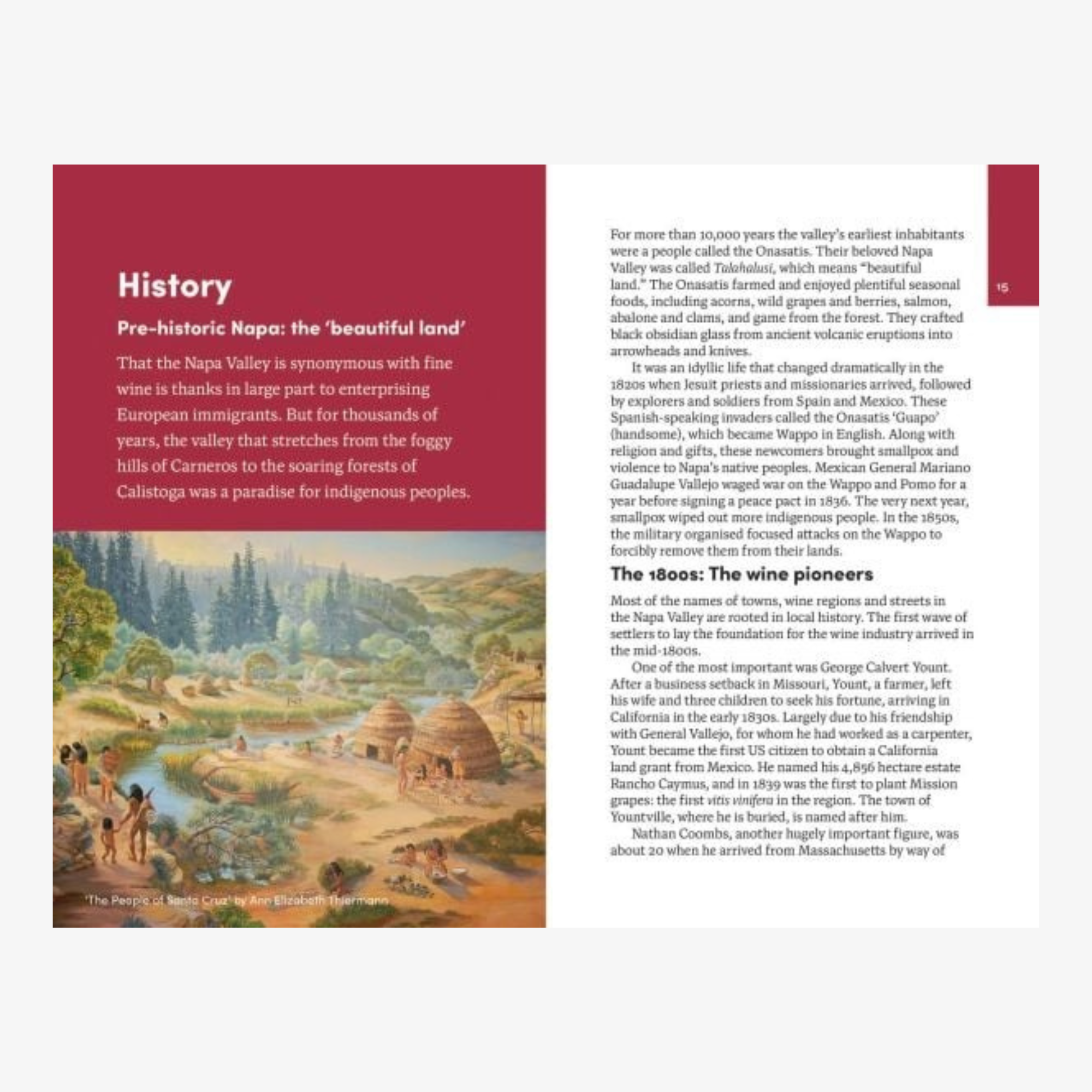 Napa Valley: The Smart Traveller's Wine Guide