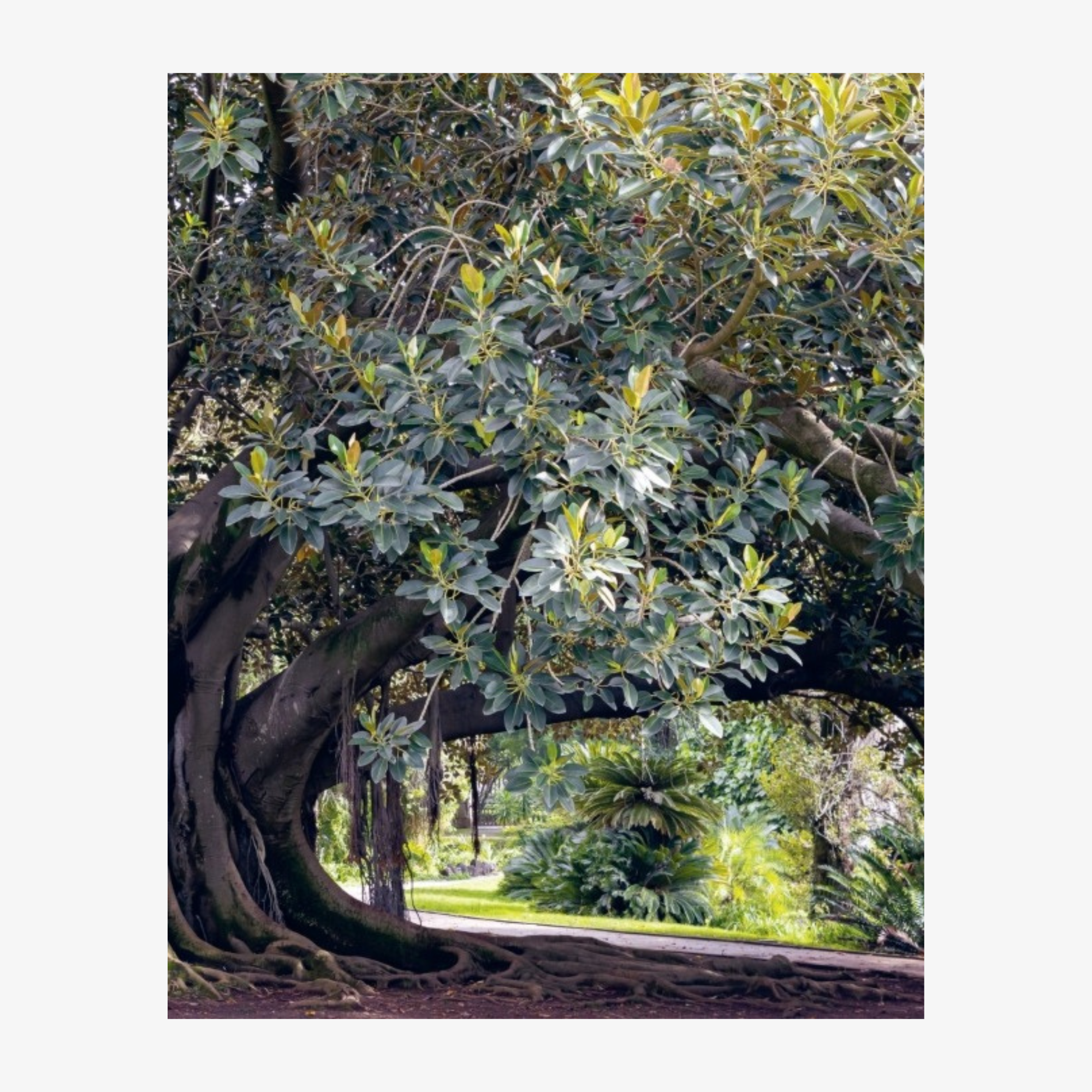 Koichi Takada: Naturalizing Architecture