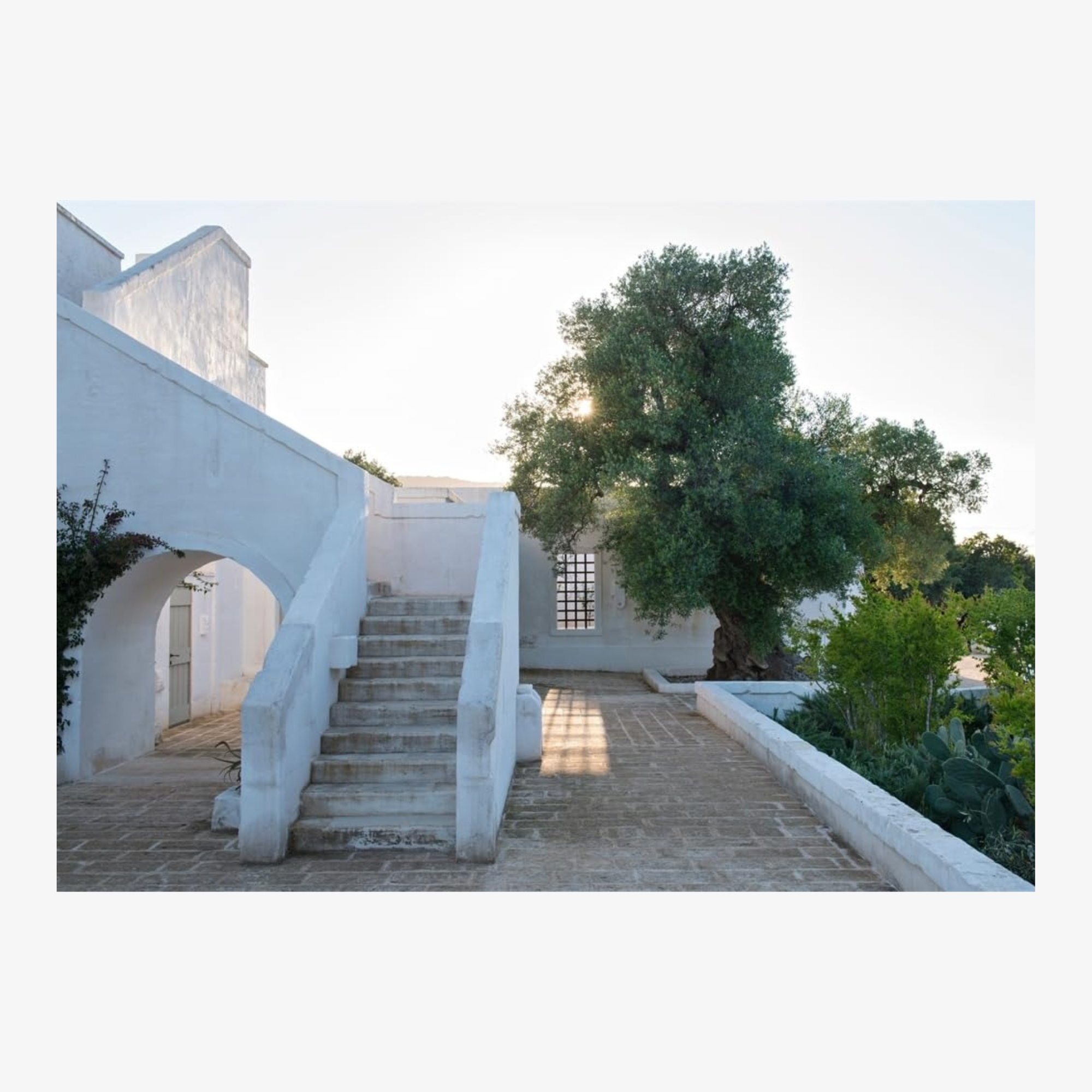 Mediterranean Living: Varied Residences Immerse Readers in the Diverse Architectural and Decorative Styles