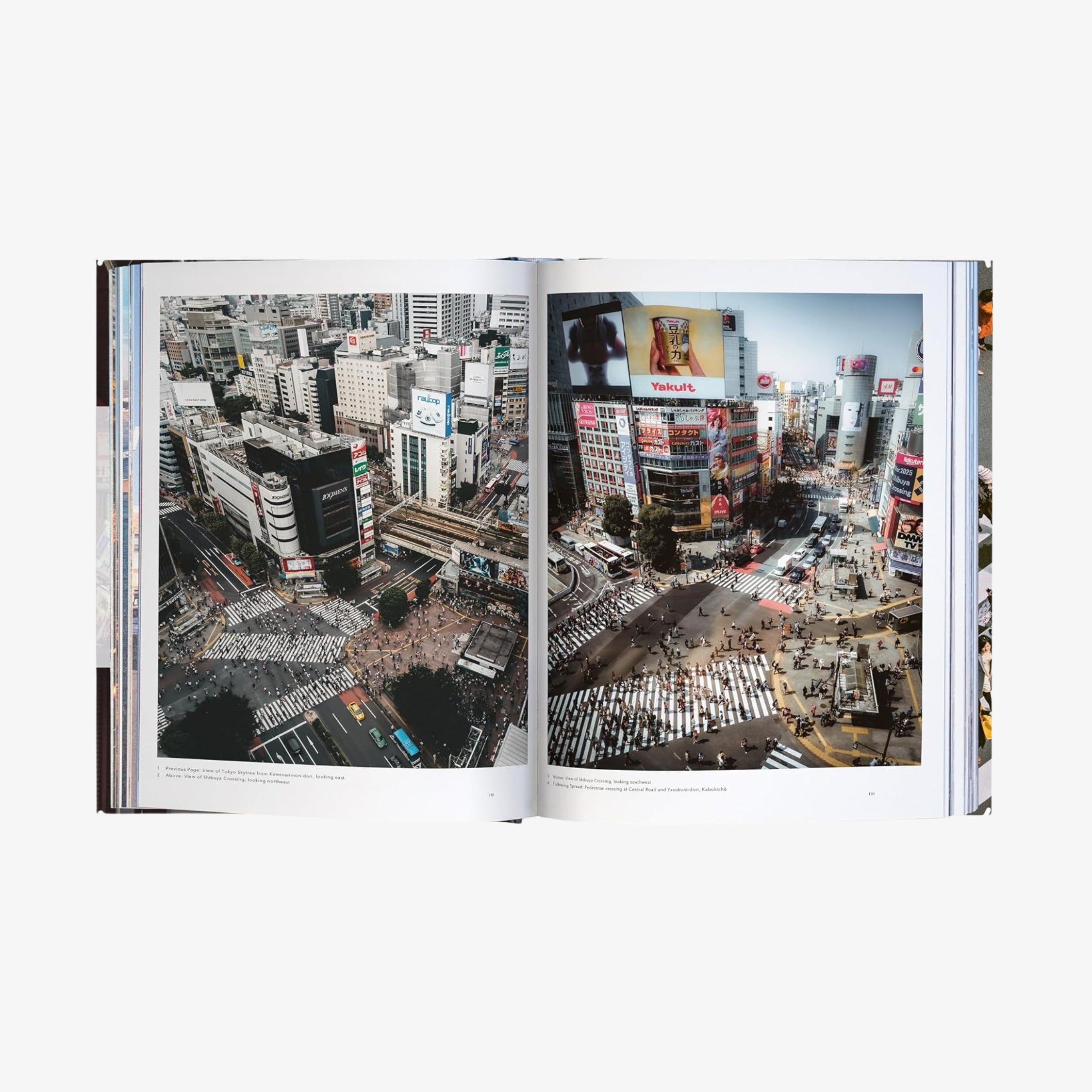 Trope Tokyo (Revised and Expanded Edition)