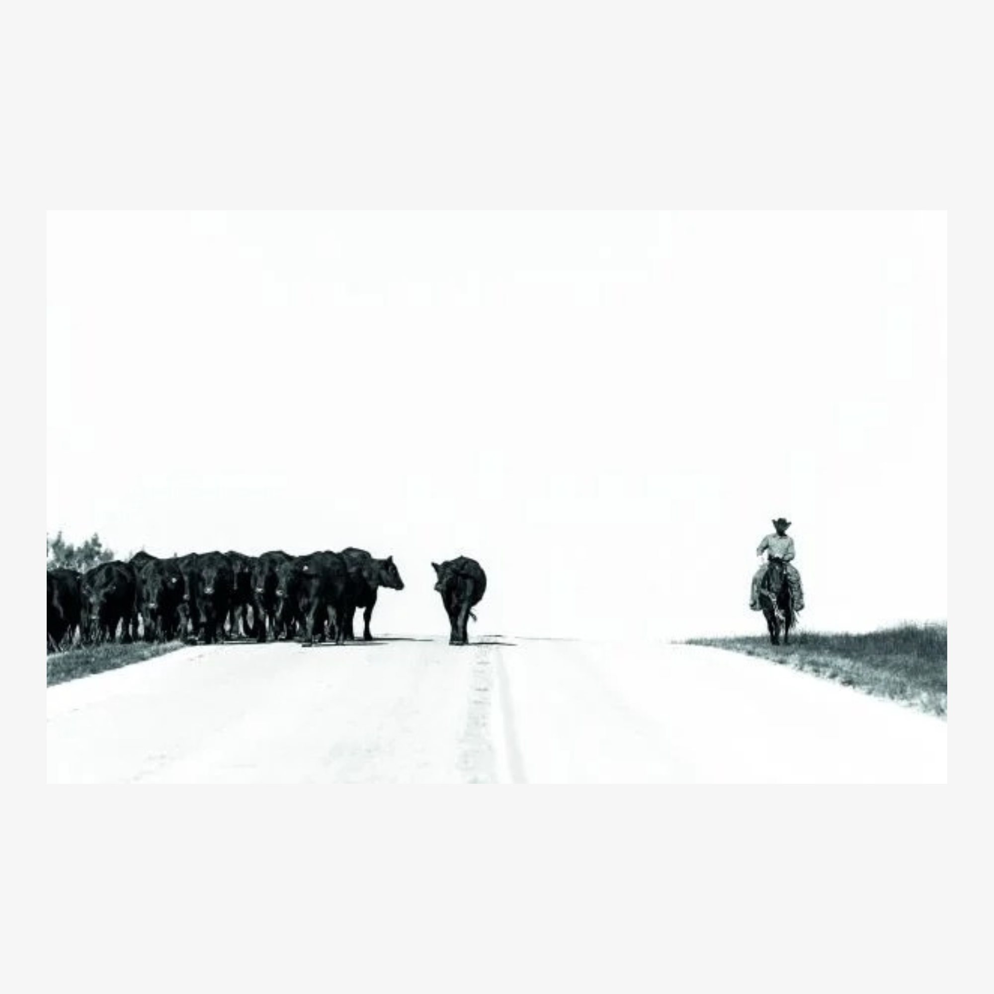 West: The American Cowboy