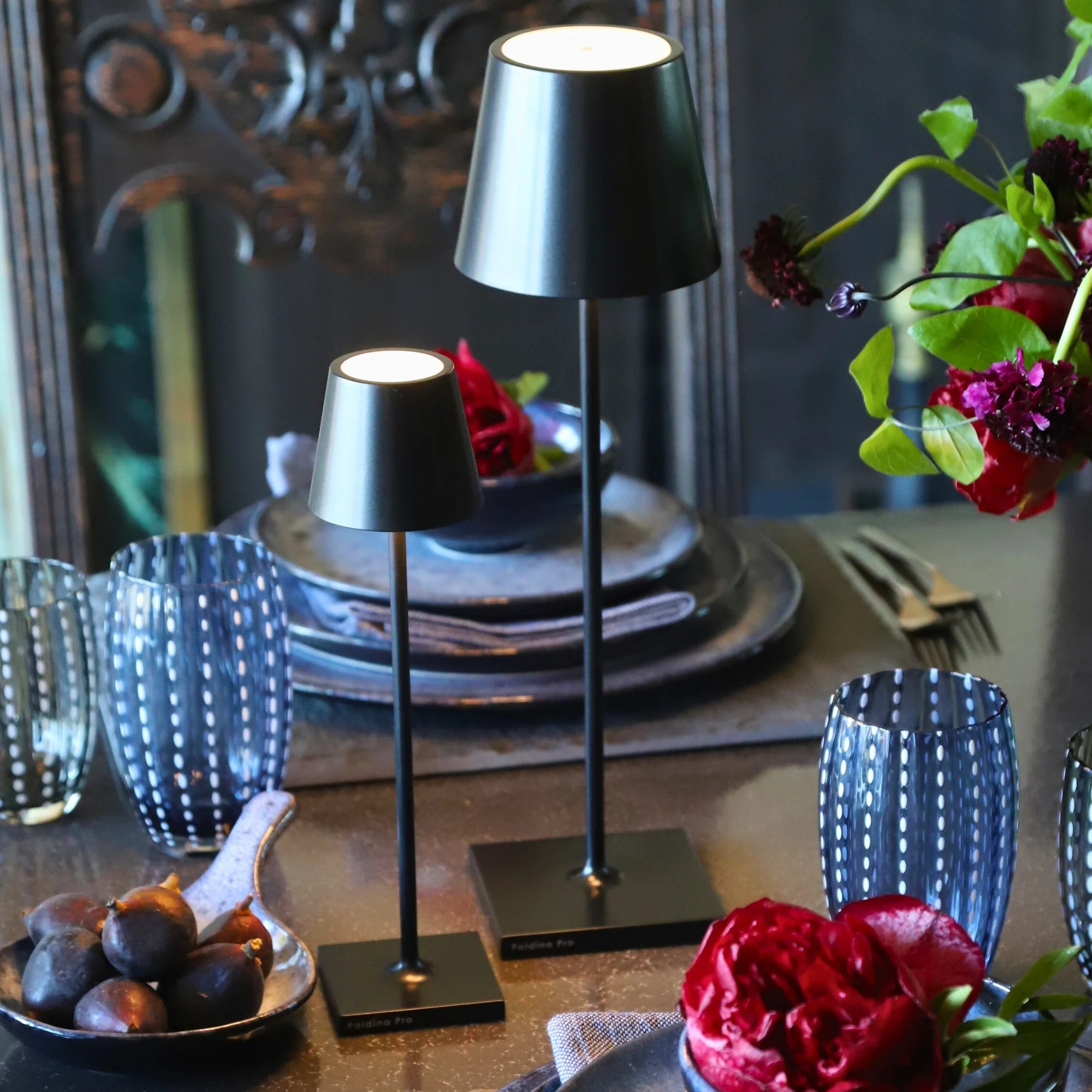 Poldina Pro Micro Table Lamp