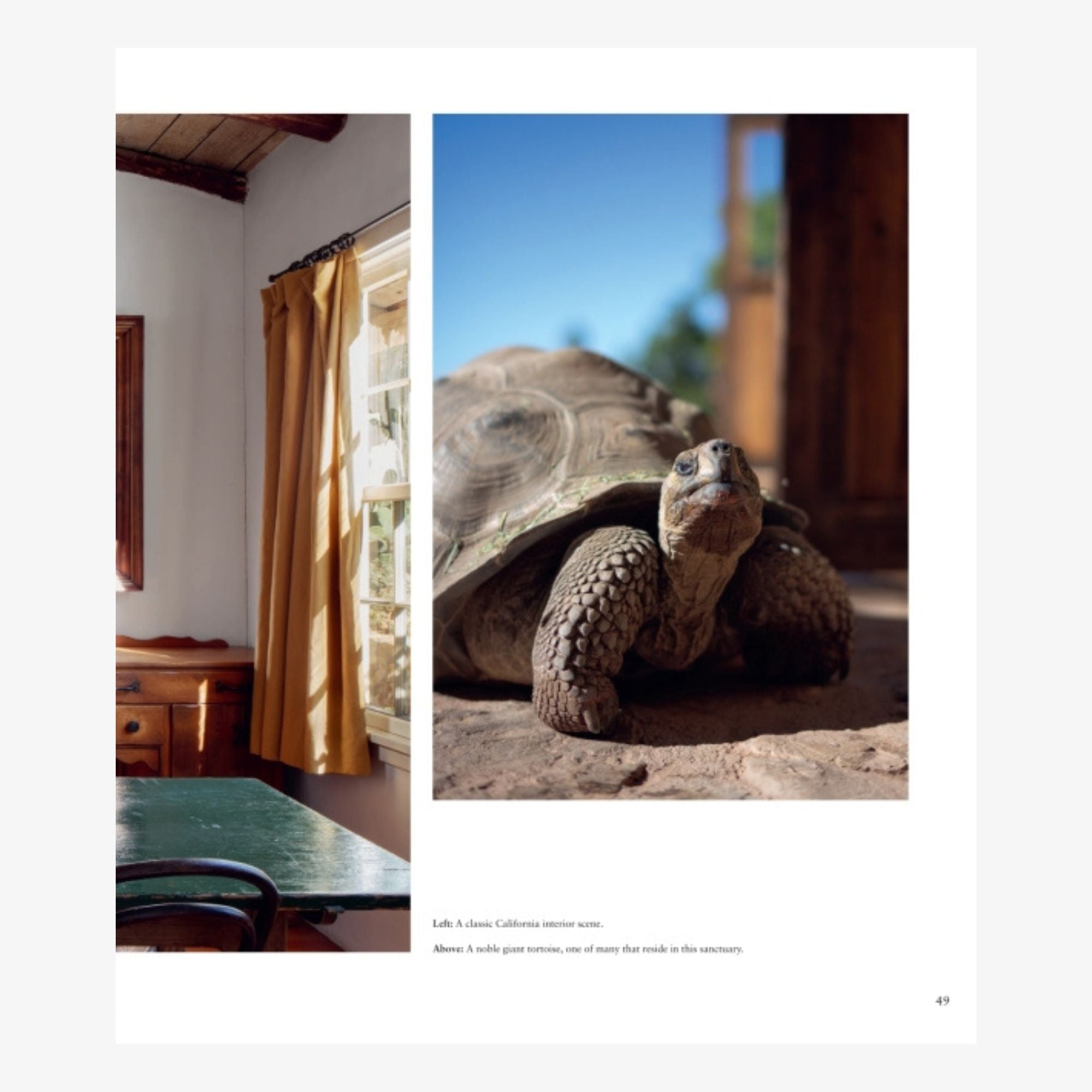 Santa Barbara: At Home in Paradise