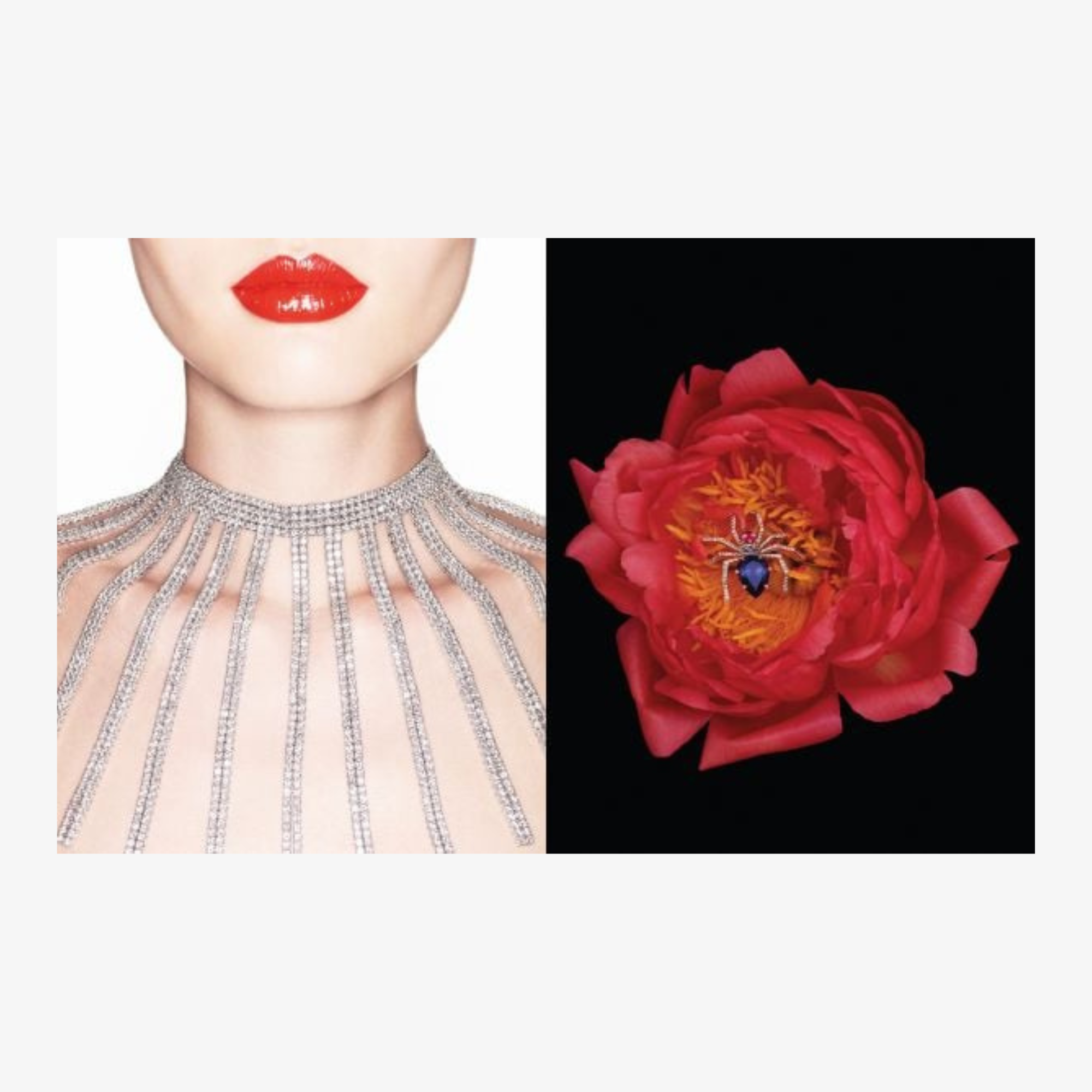 Chaumet: Photographers' Gaze