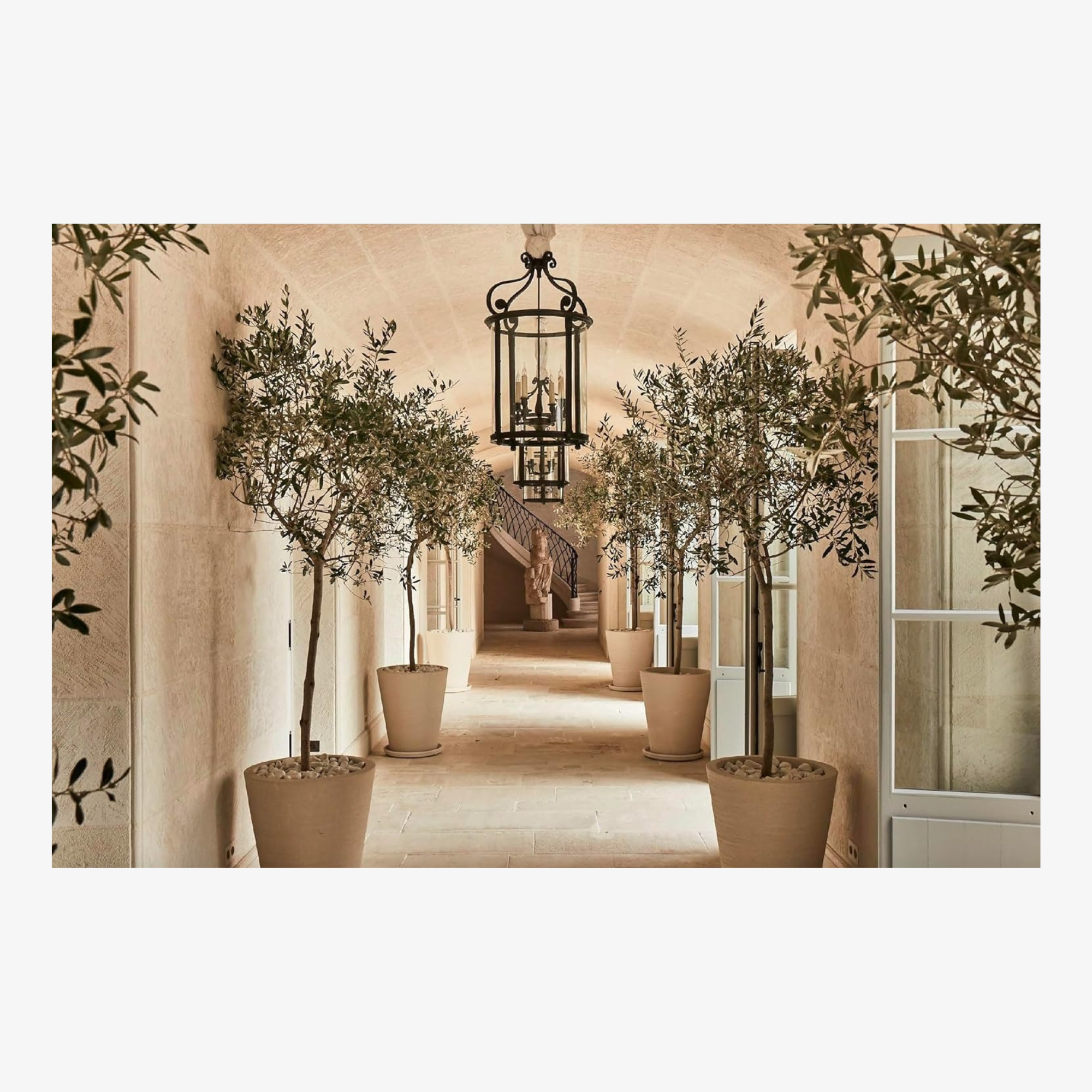 Château Léoube: Provence Living