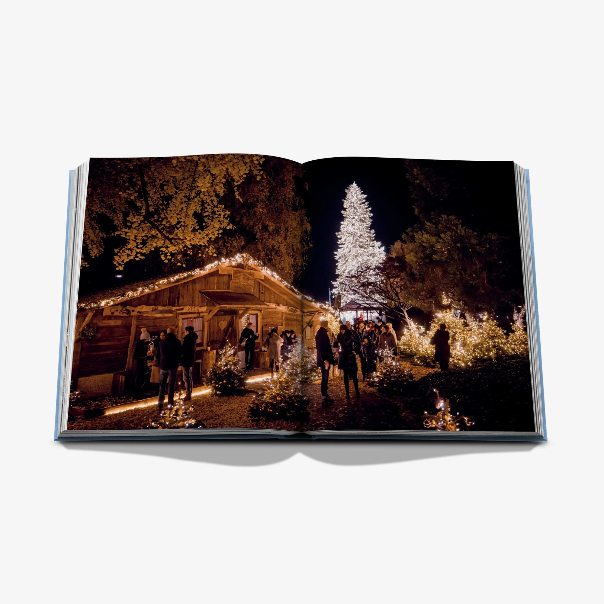 Baur Au Lac: A Legacy by the Lake