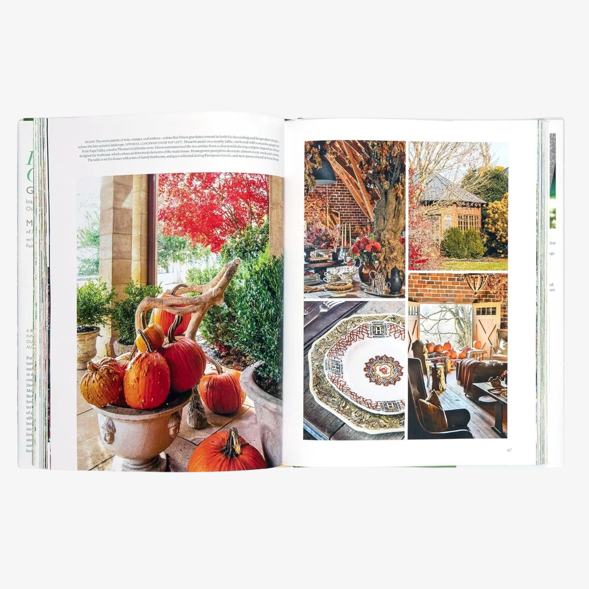 Flowering Outdoors: Gardens & Parties Foreword