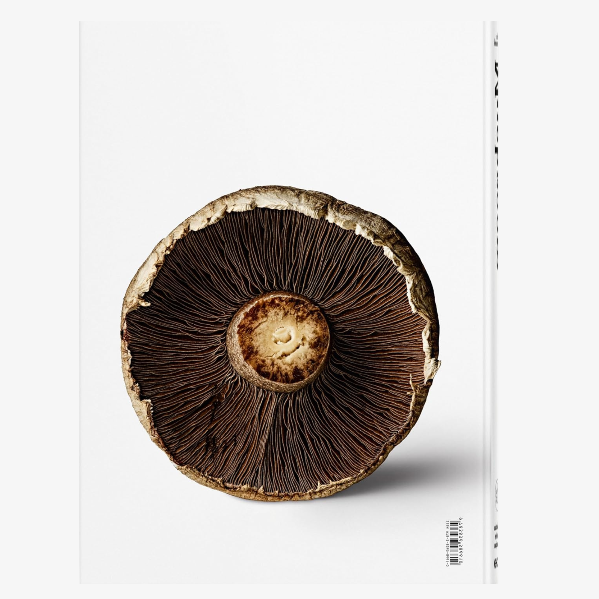 The Gourmand's Mushroom: A Collection of Stories and Recipes