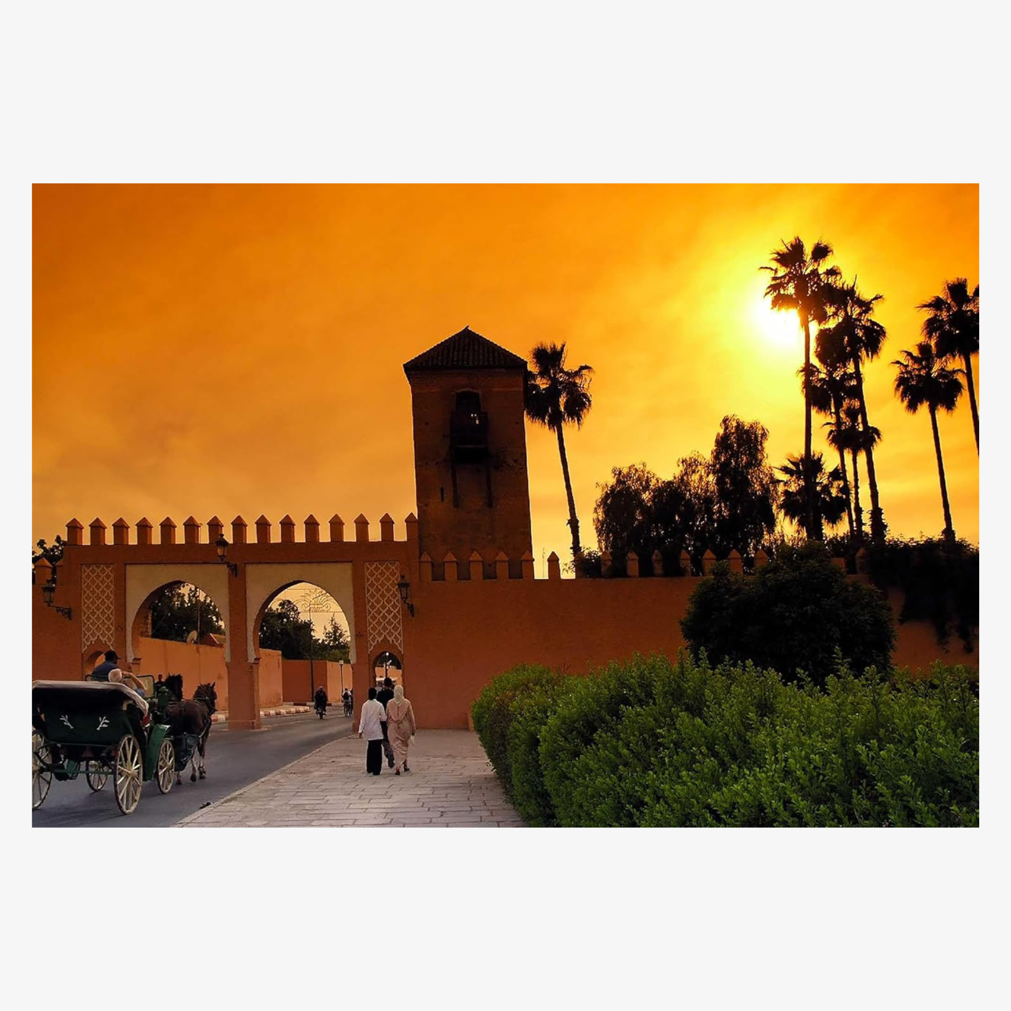 Best of Marrakech