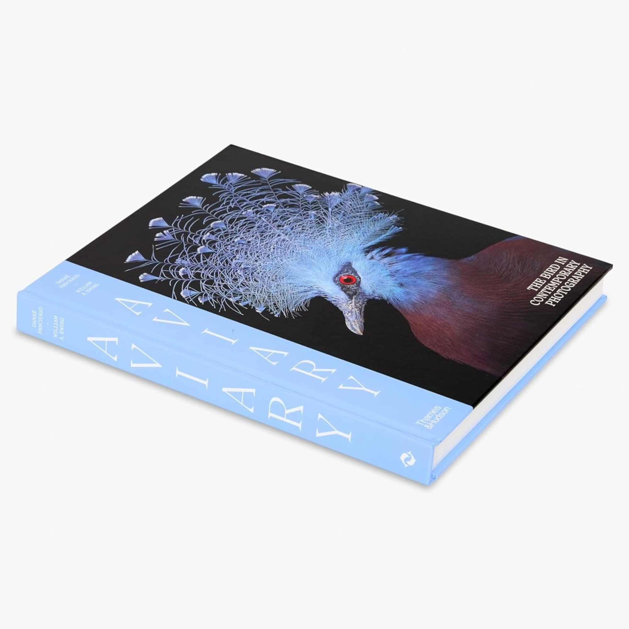 Aviary: The Bird in Contemporary Photography