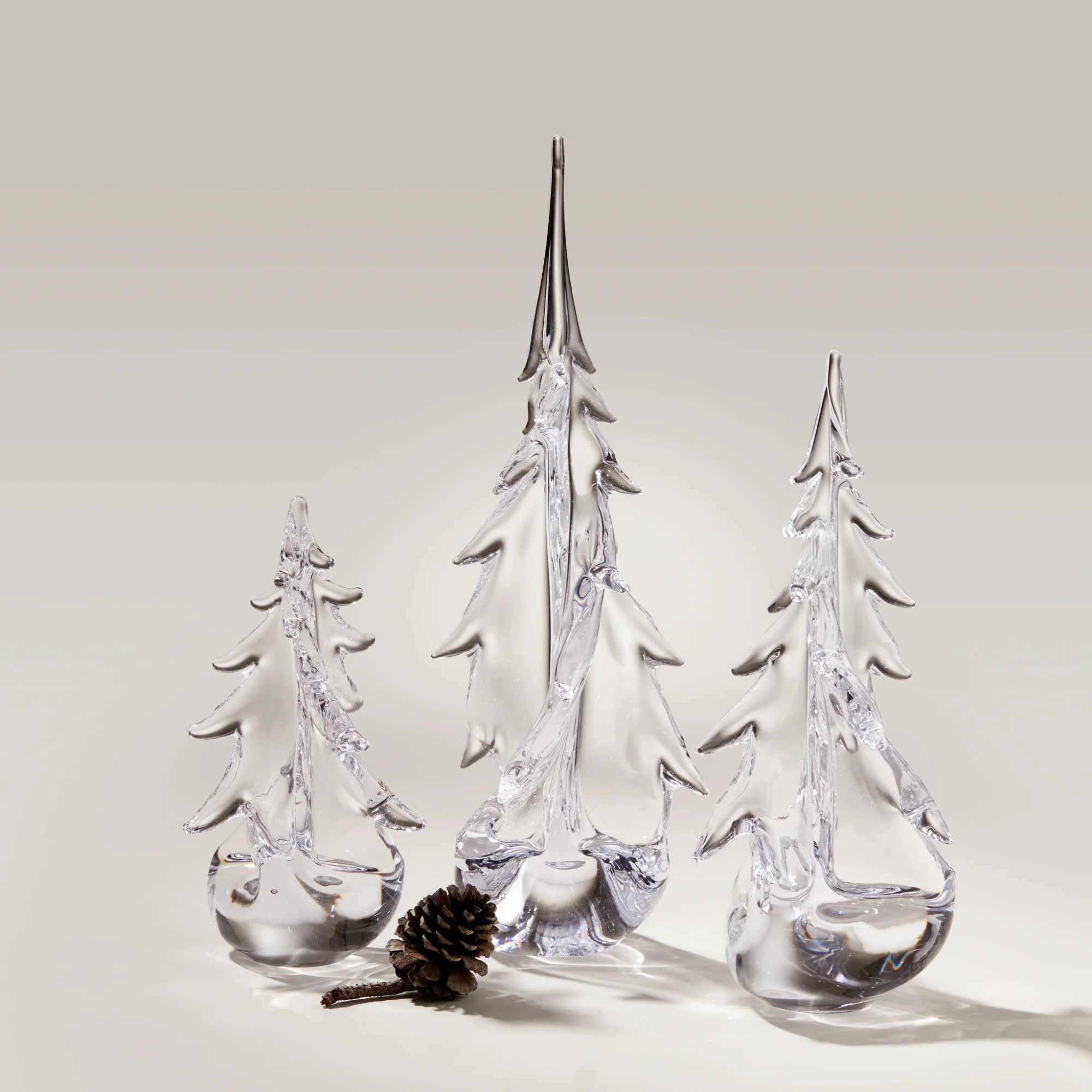 Vermont Twist Evergreen Tree