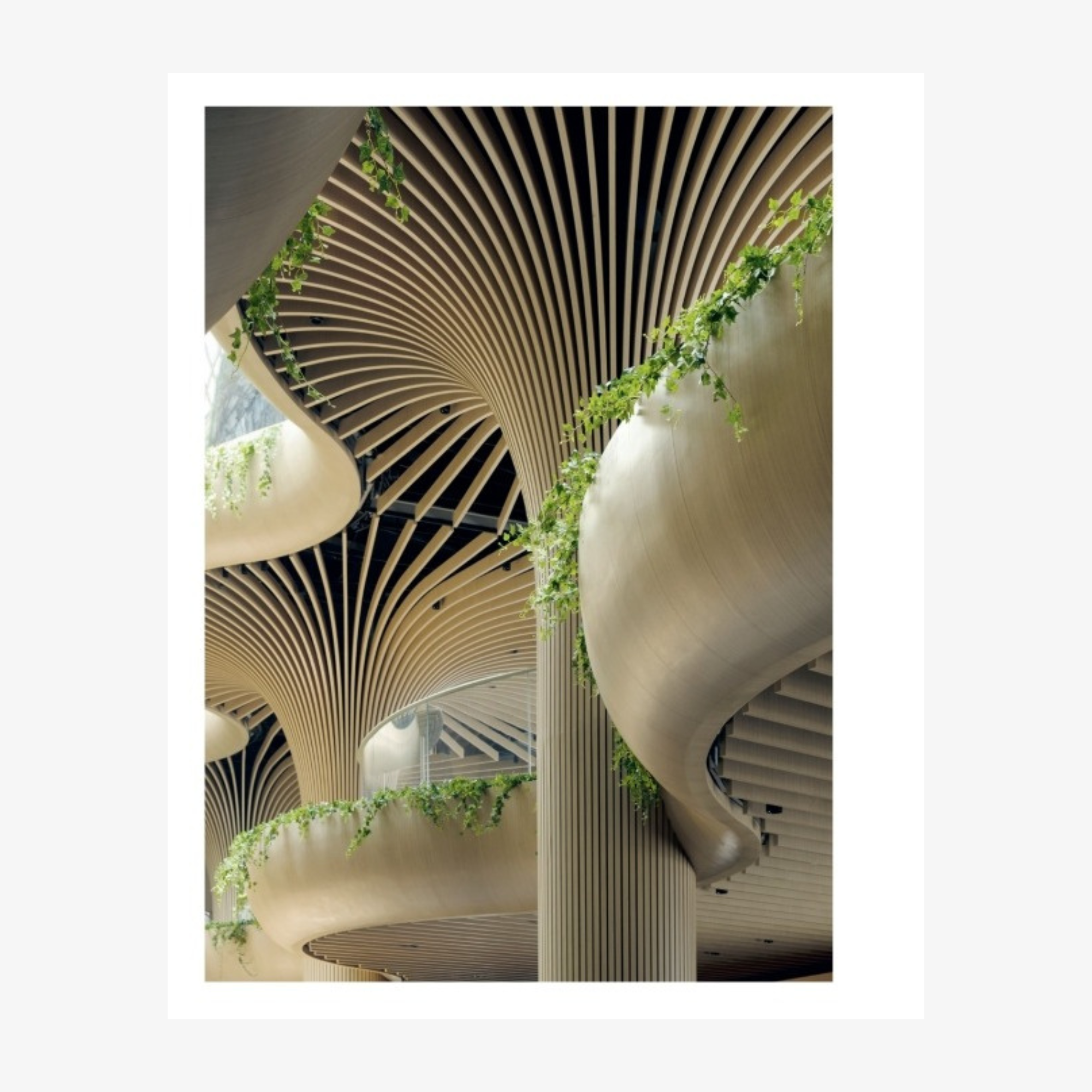 Koichi Takada: Naturalizing Architecture